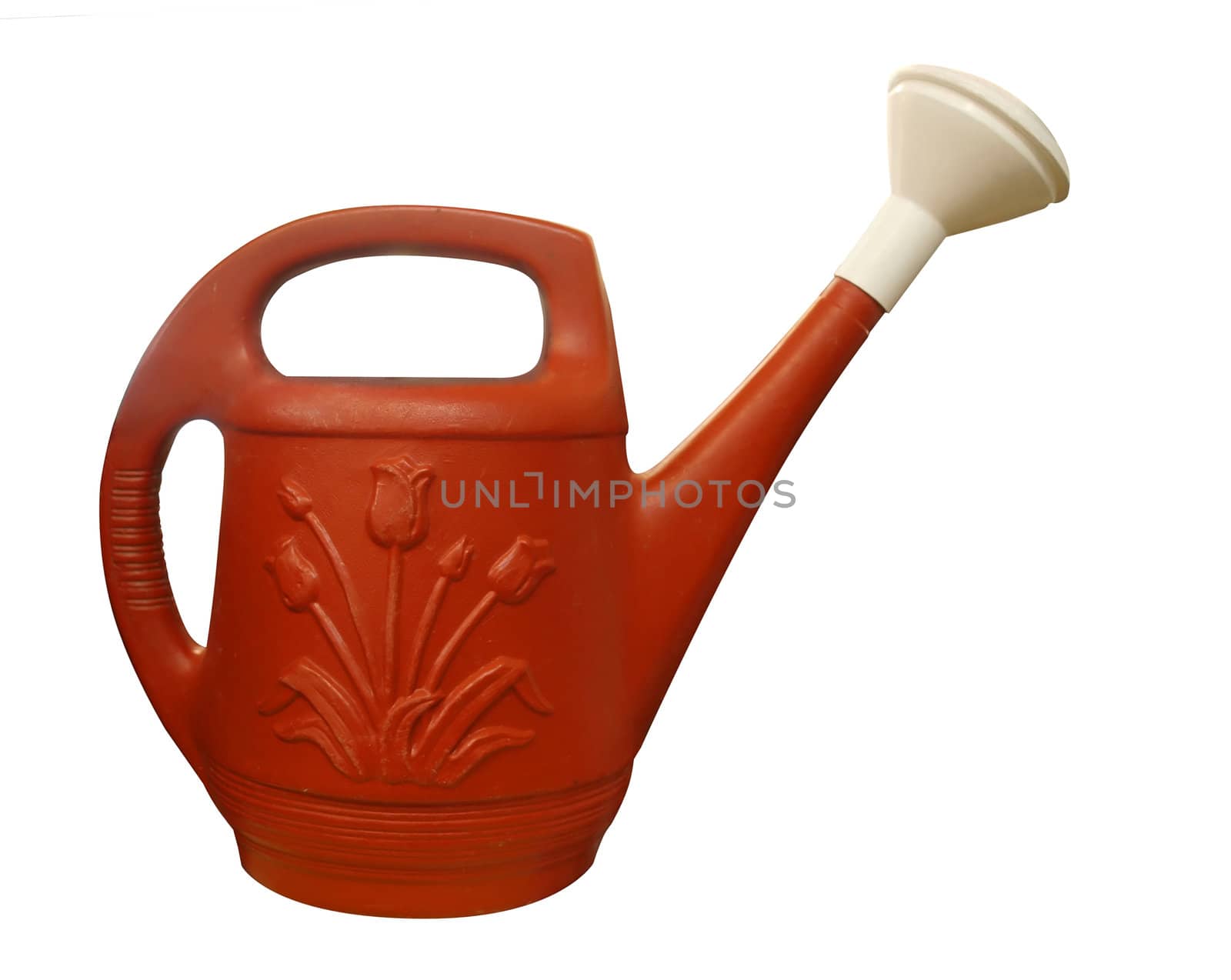 Plastic Watering Can isolated with clipping path        