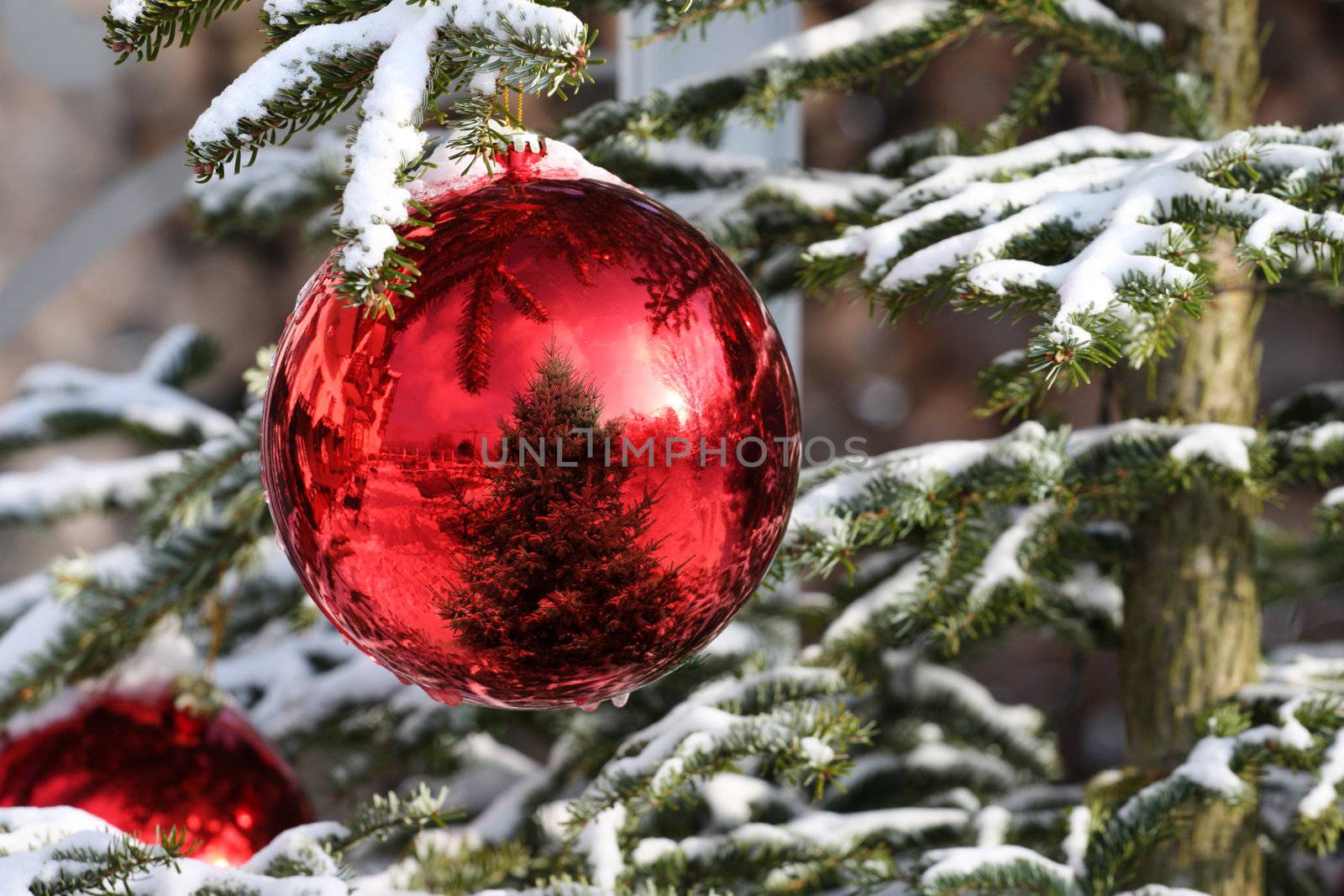 Christmas bauble on fir tree by photochecker