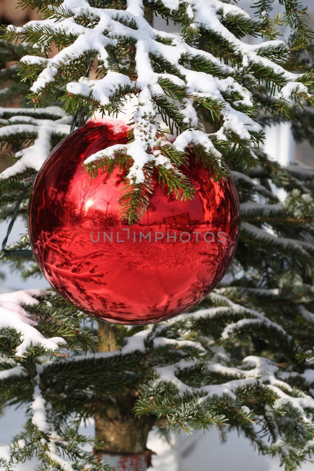 Red Christmas decorations by photochecker