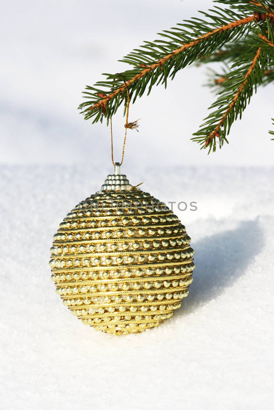 christmas bauble on christmas tree by photochecker