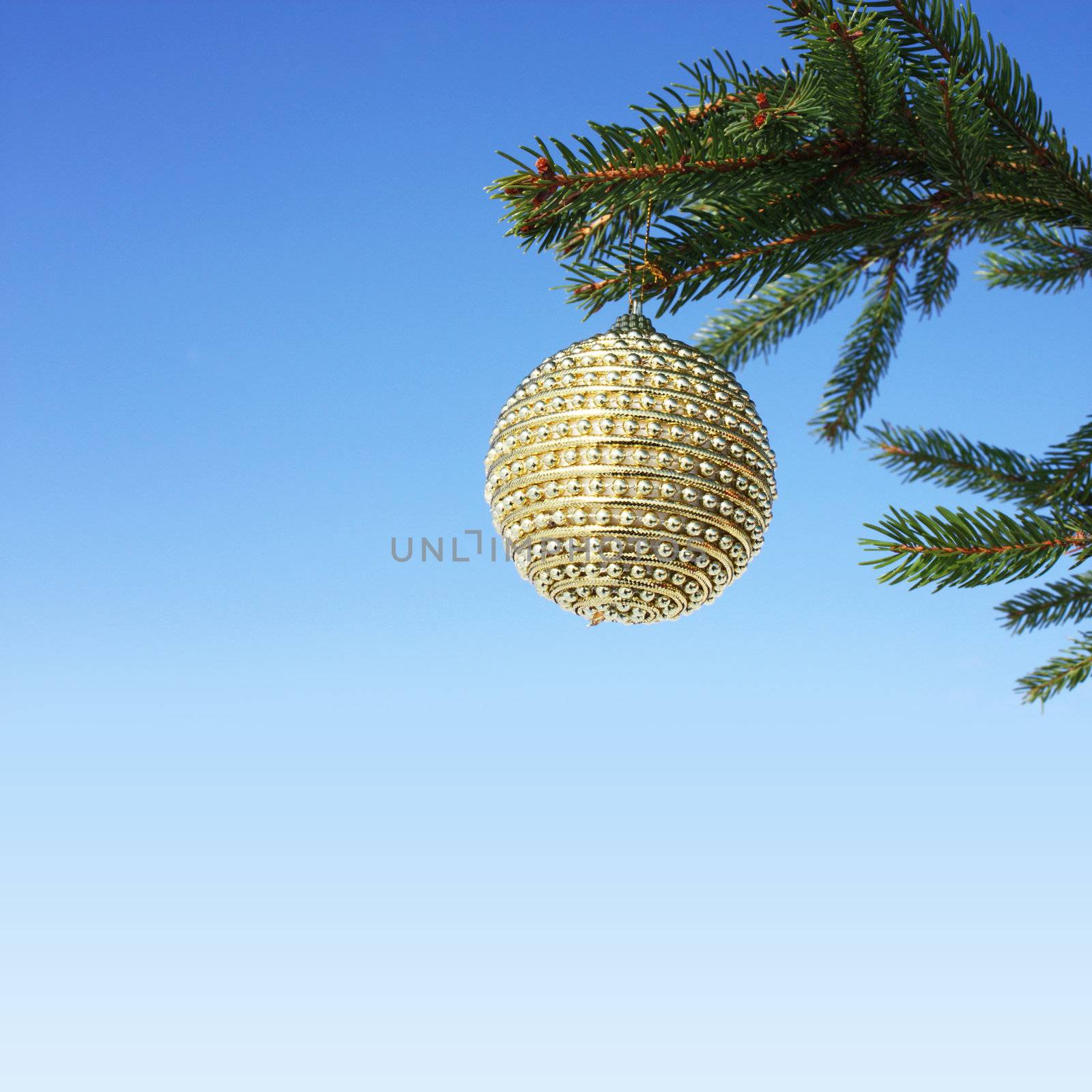 christmas bauble on christmas tree