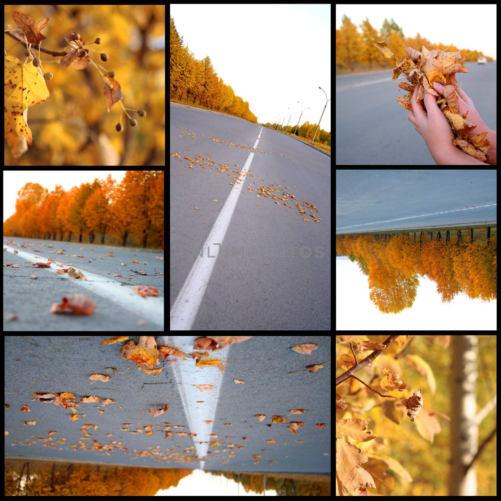 Autumn season beautiful, collage by Kudryashka