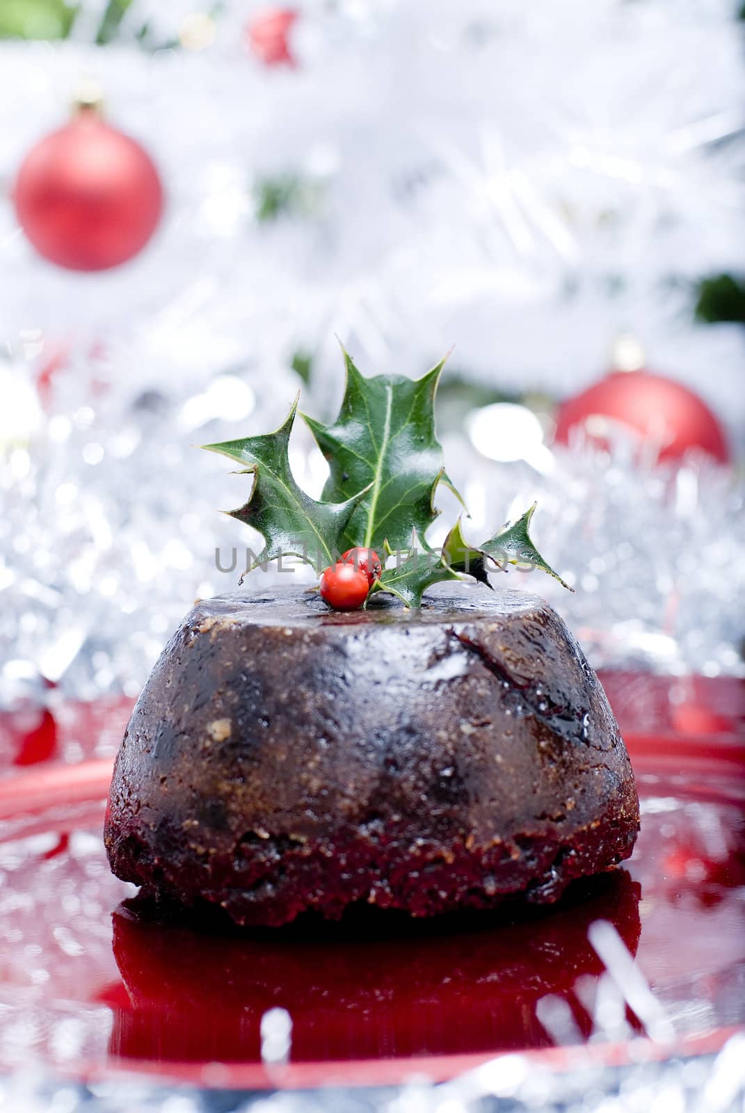 Christmas pudding by tomas24