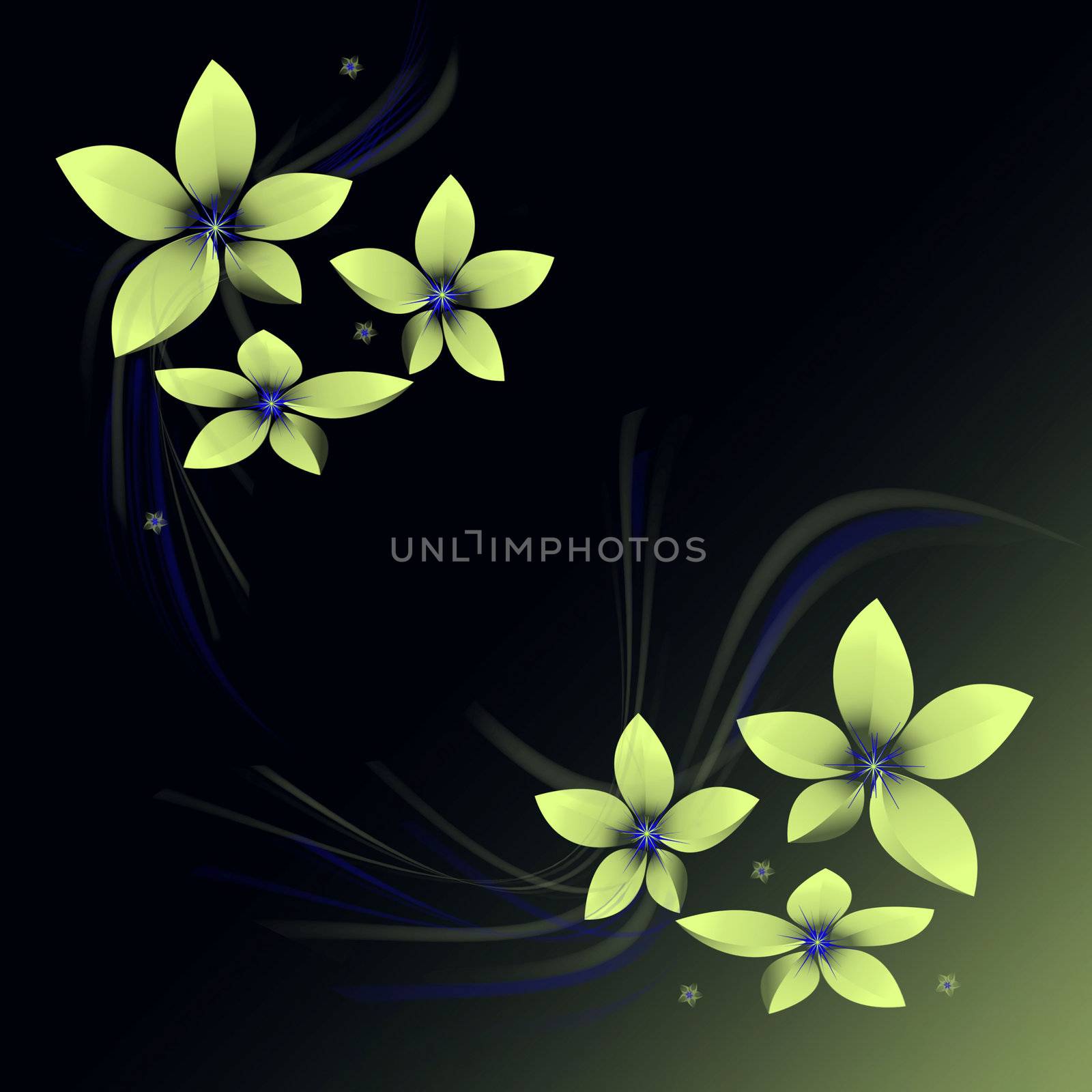 Abstract background from flower on a black background