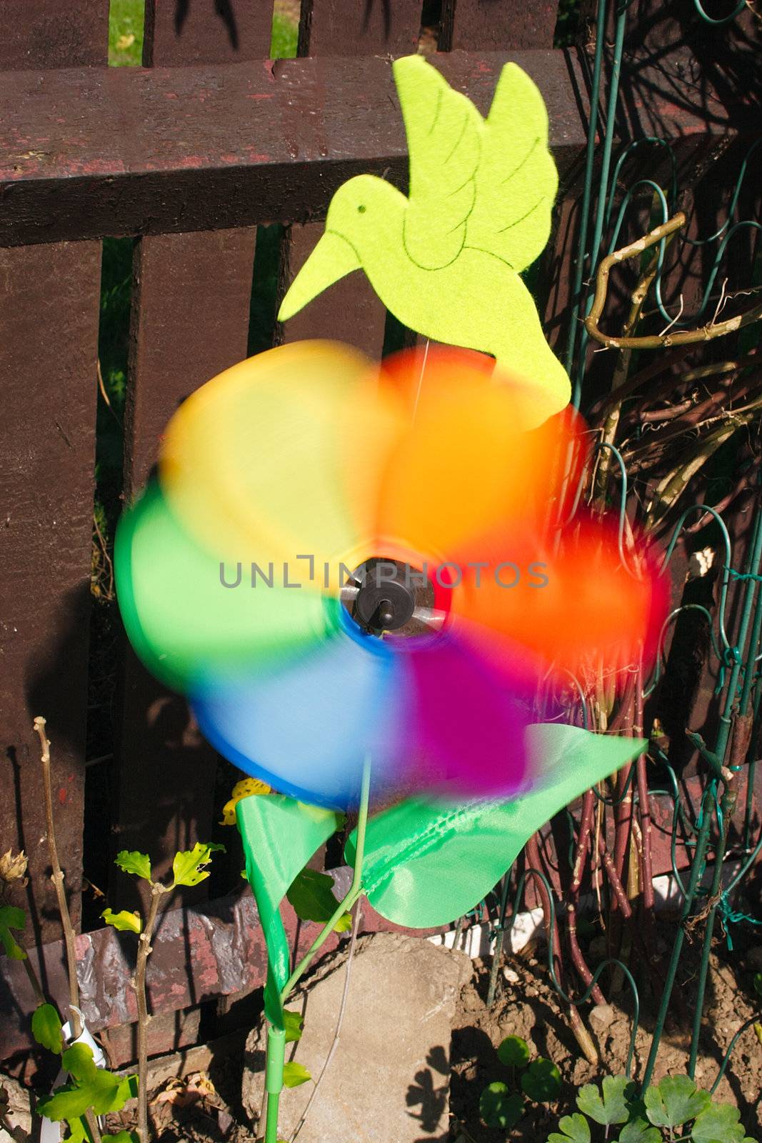 colorful windmill spinning in the wind by leafy