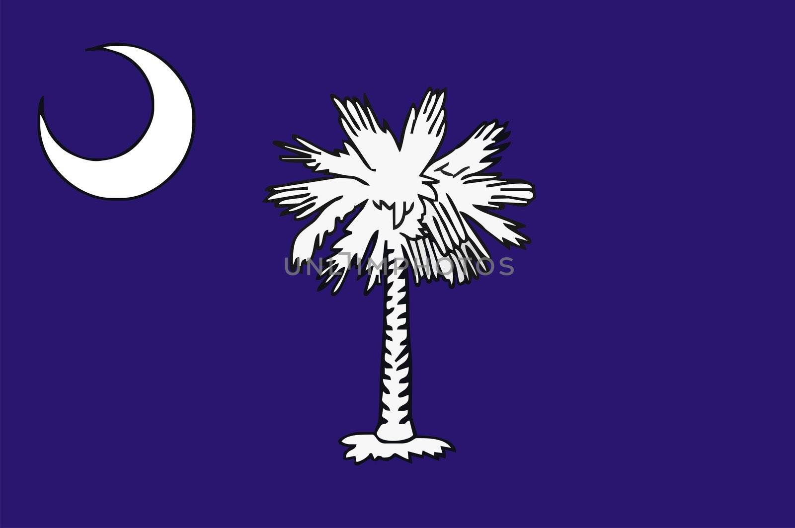 Very large 2d illustration of South Carolina Flag

