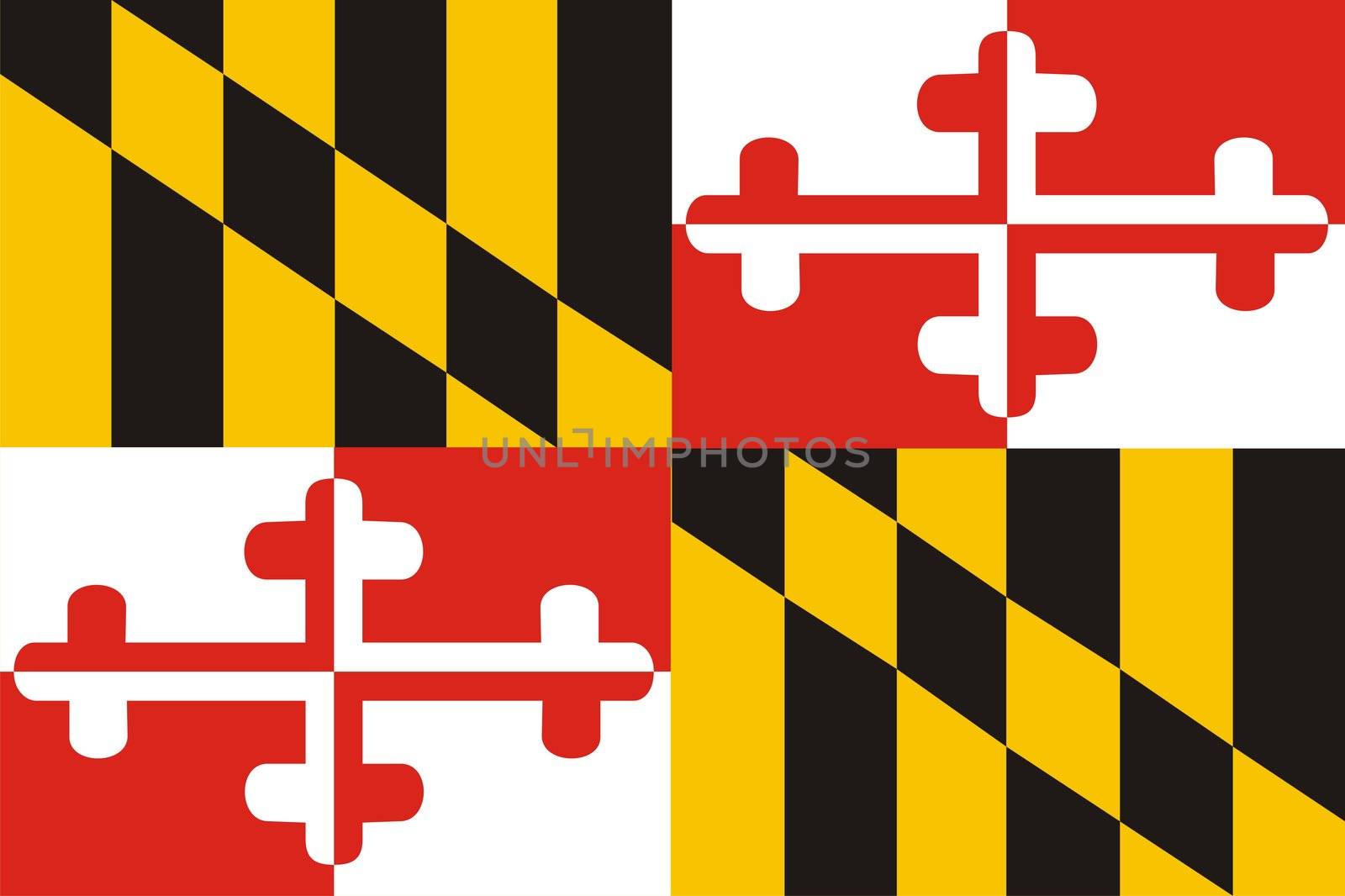 Very large 2d illustration of Maryland Flag
