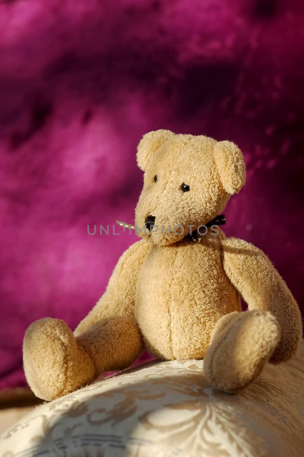 soft toy bear sitting on home furnishings