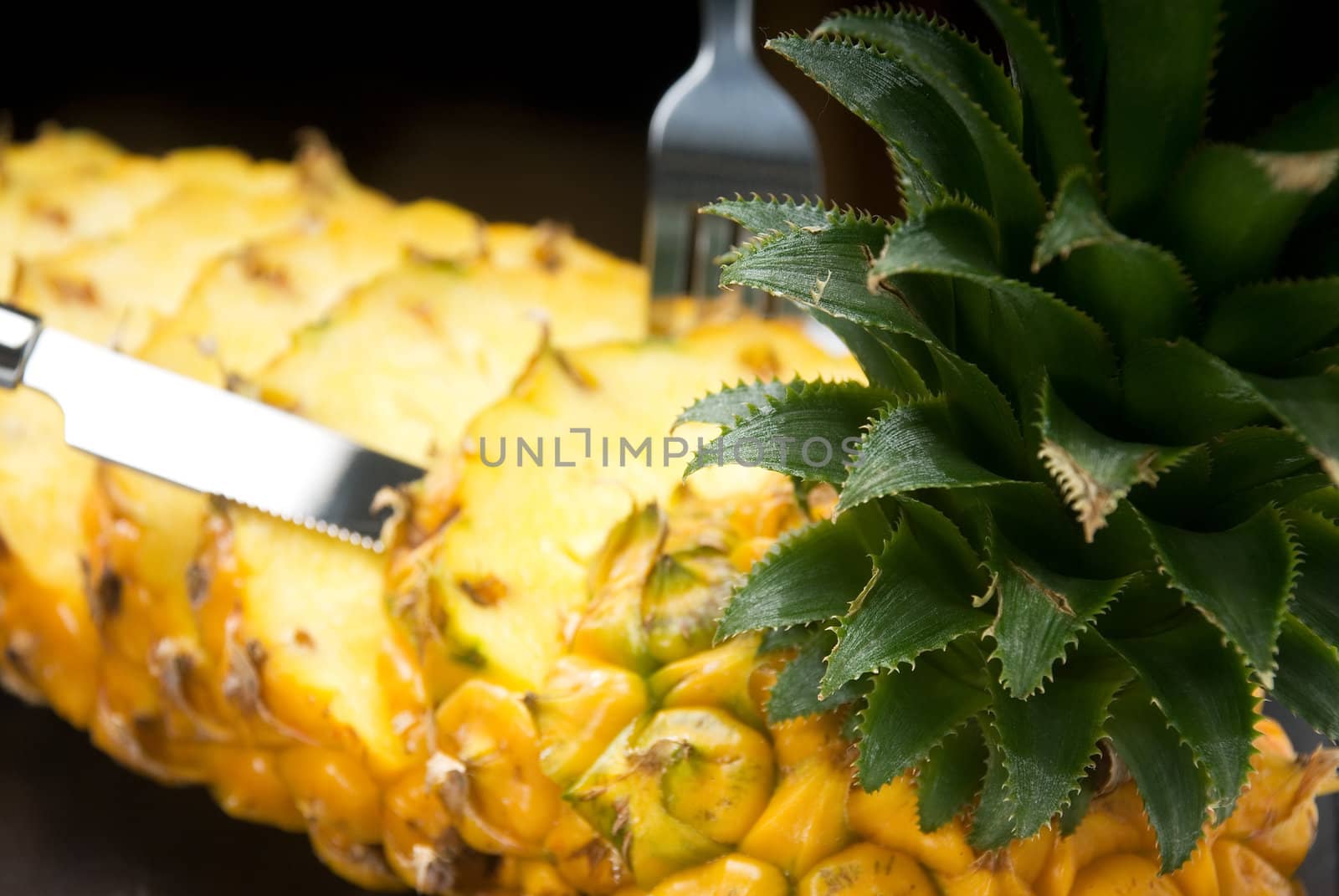 pineapple by keko64