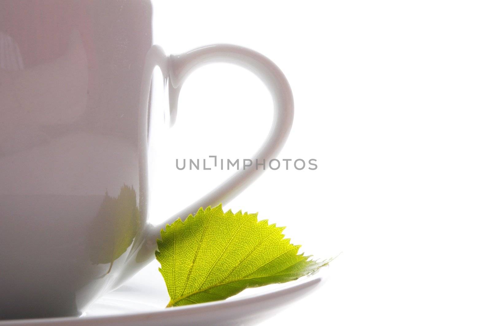 cup of tea or coffee with leaf and white copyspace