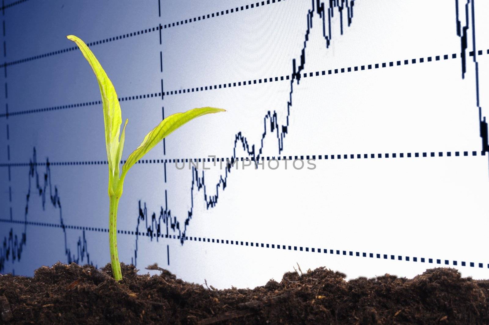 finance or business growth concept with young plant