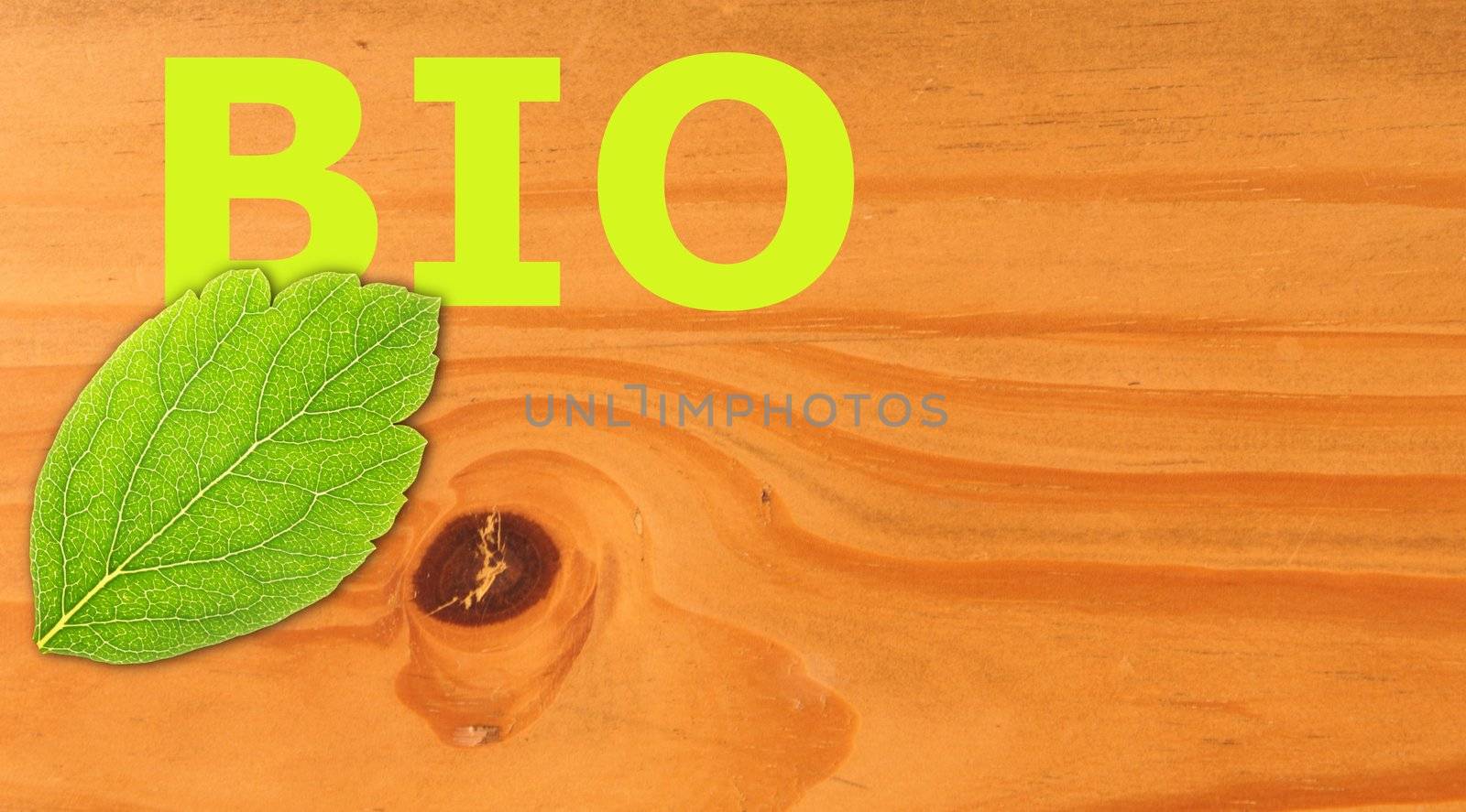 bio concept with word on nature still life