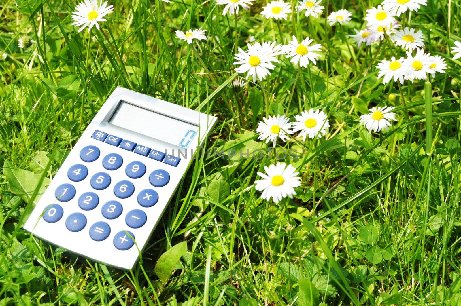 ecology concept with calculatur showing environmental protection