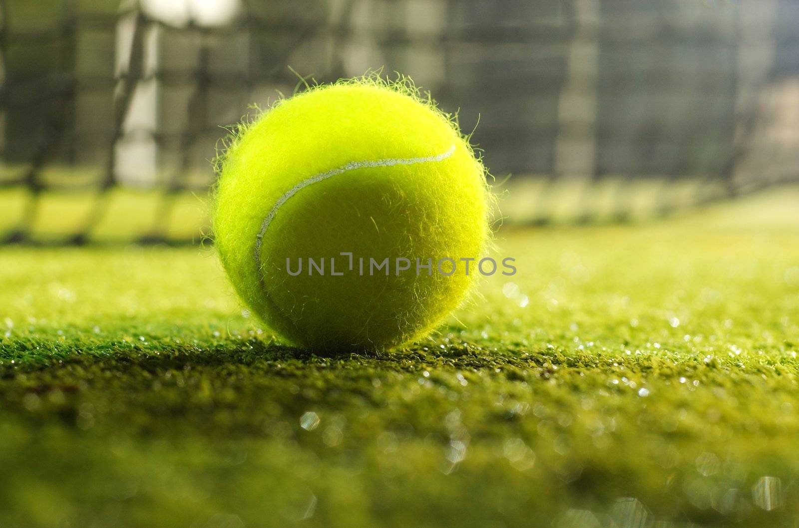 macro photo of green tennis ball on ground