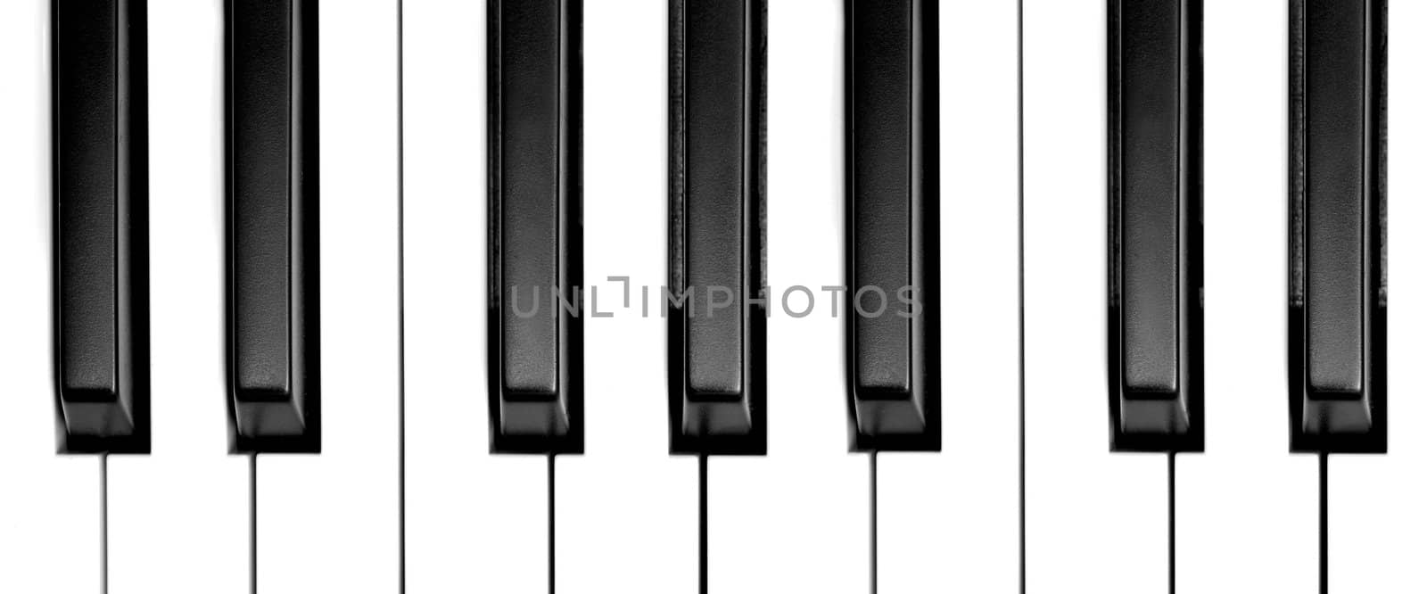 piano keys by nelsonart