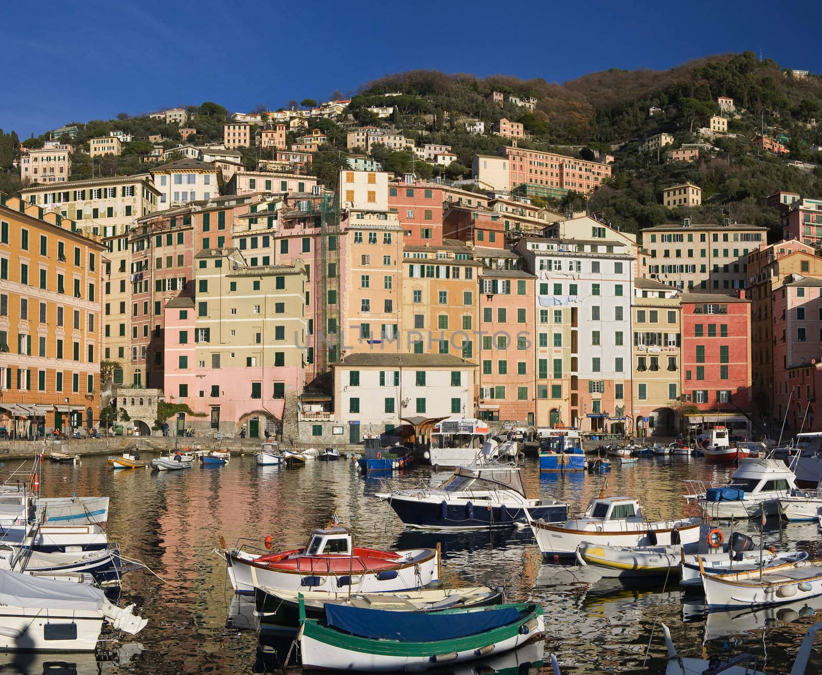 Camogli is a  characteristic famous small town near Genoa, Italy