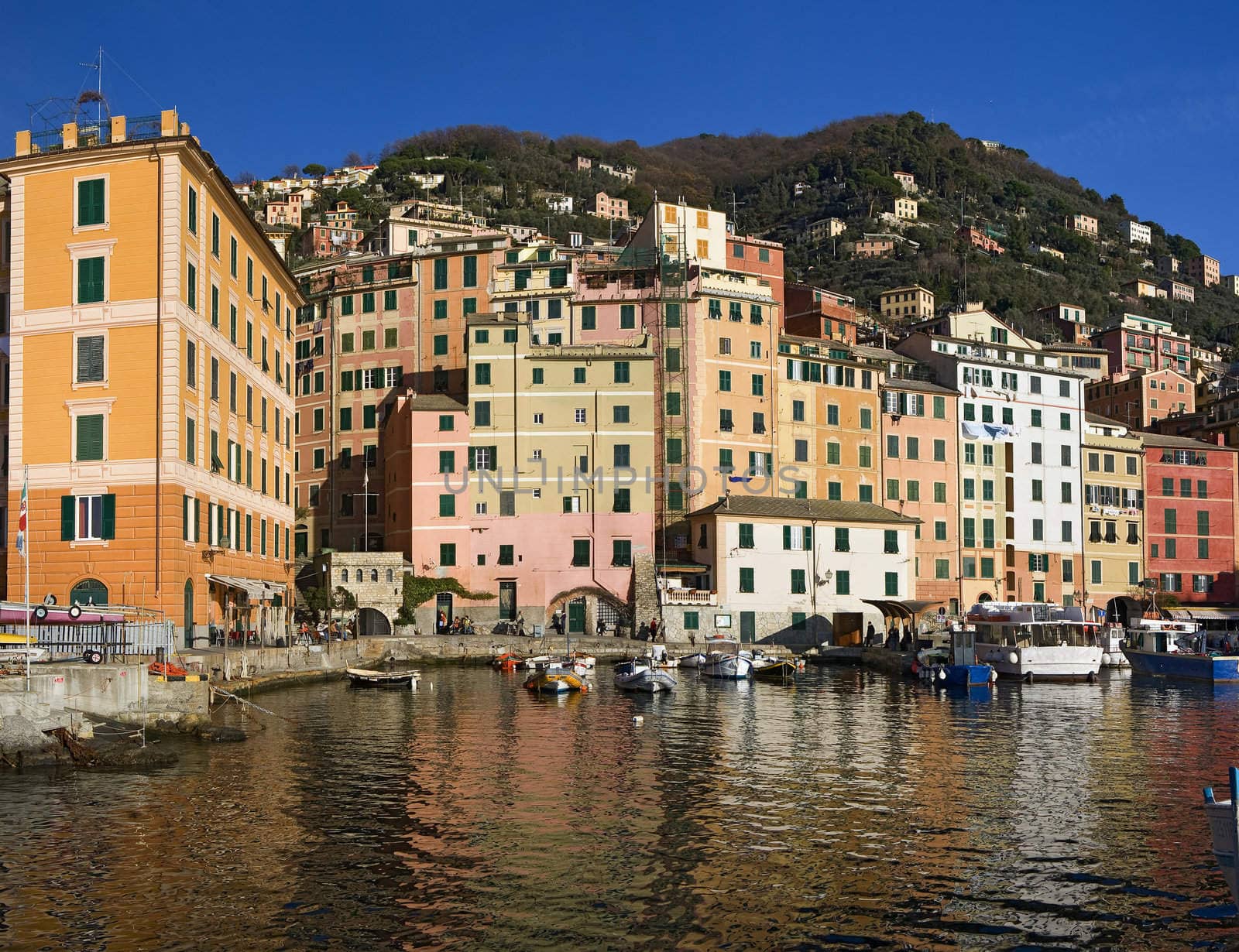 Camogli is a  characteristic famous small town in Liguria near Genoa, Italy