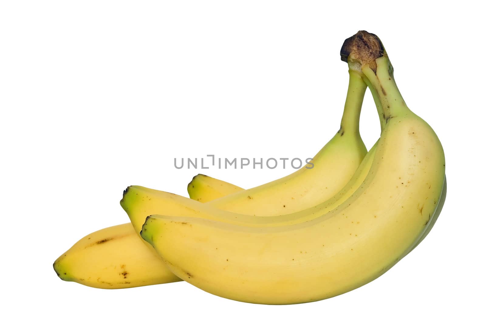 Group of ripe bananas isolated on white background