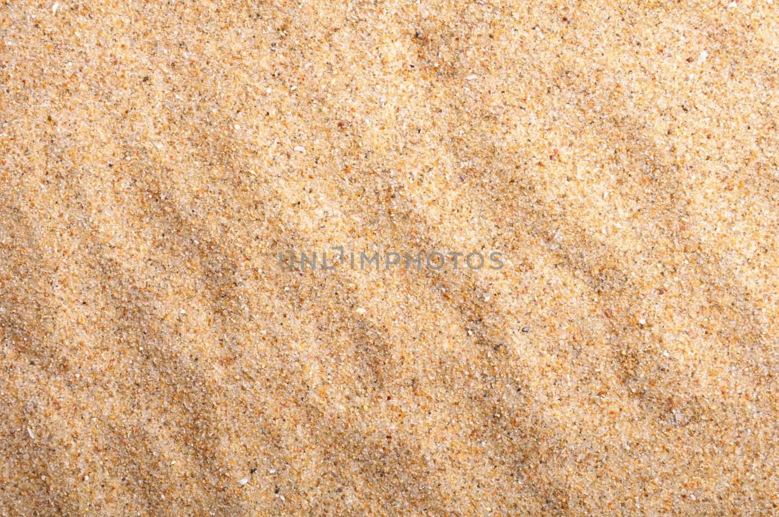 sand texture pattern or surface with copyspace