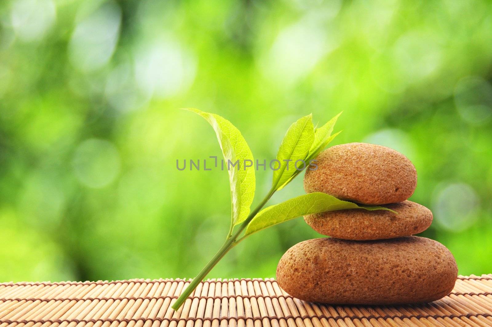zen stones with green leaves and copyspace showing wellness