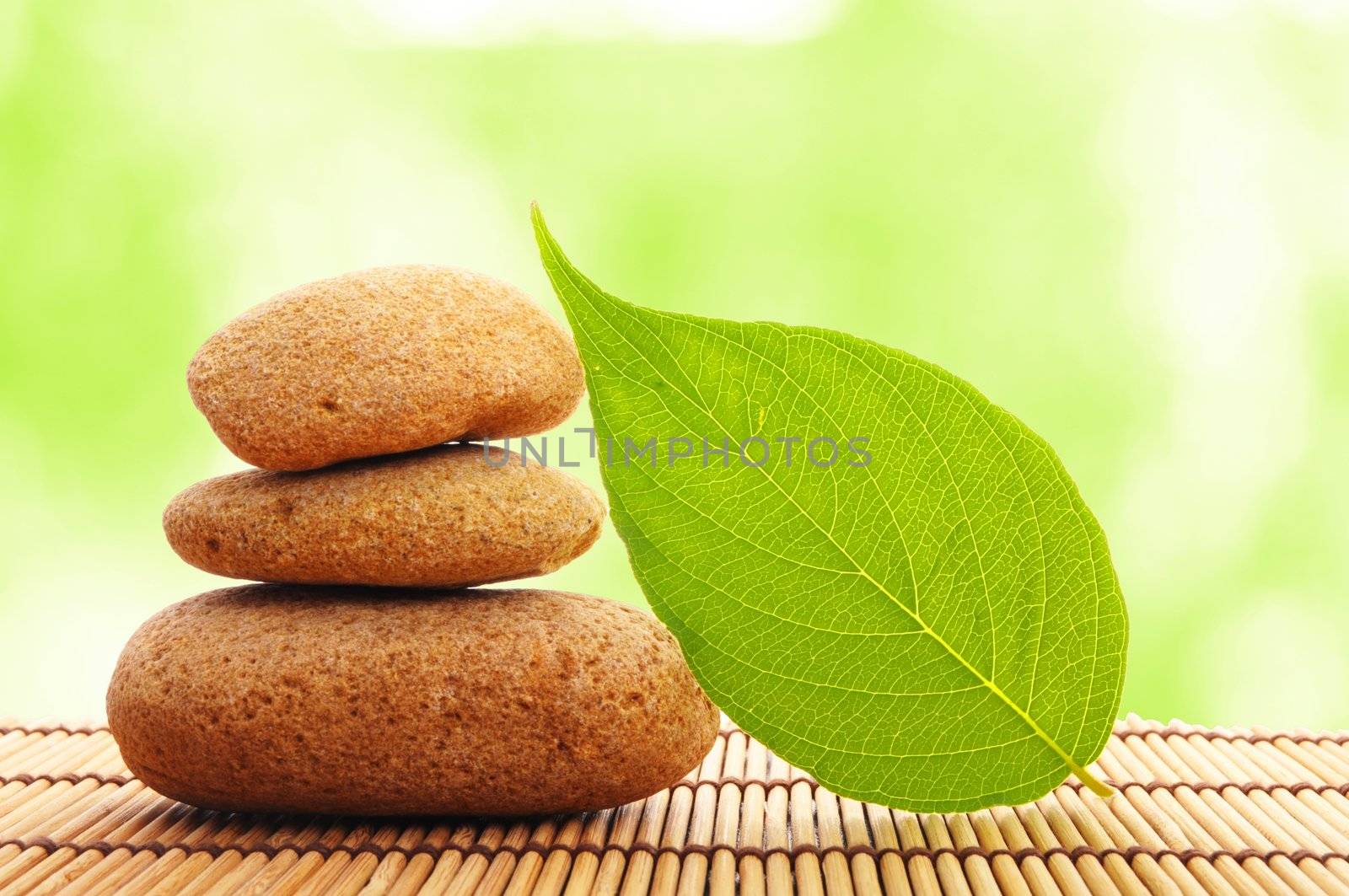 zen stone with leaf and bokeh copyspace showing spa concept