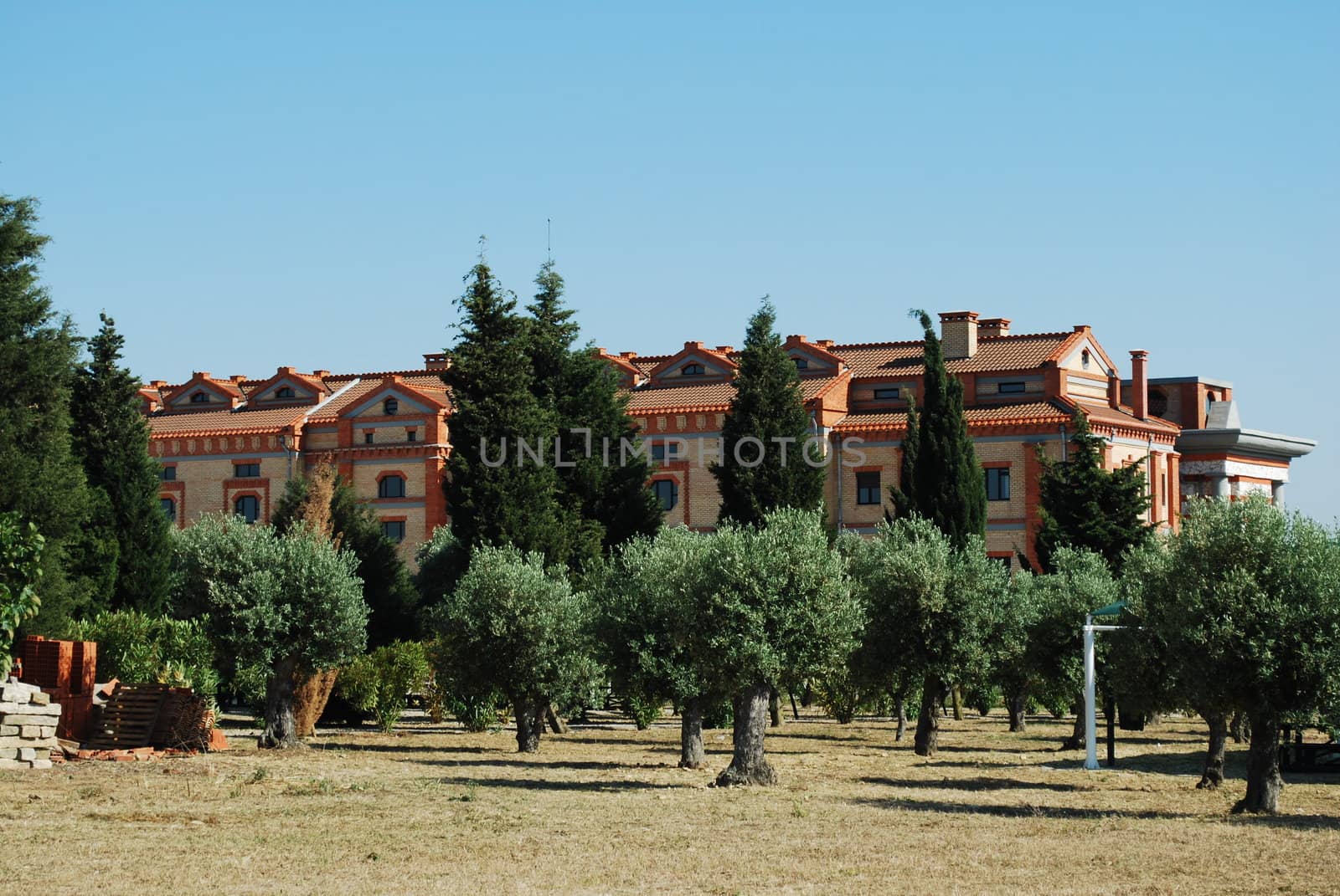 Field of Olive trees and a residential brick building by luissantos84