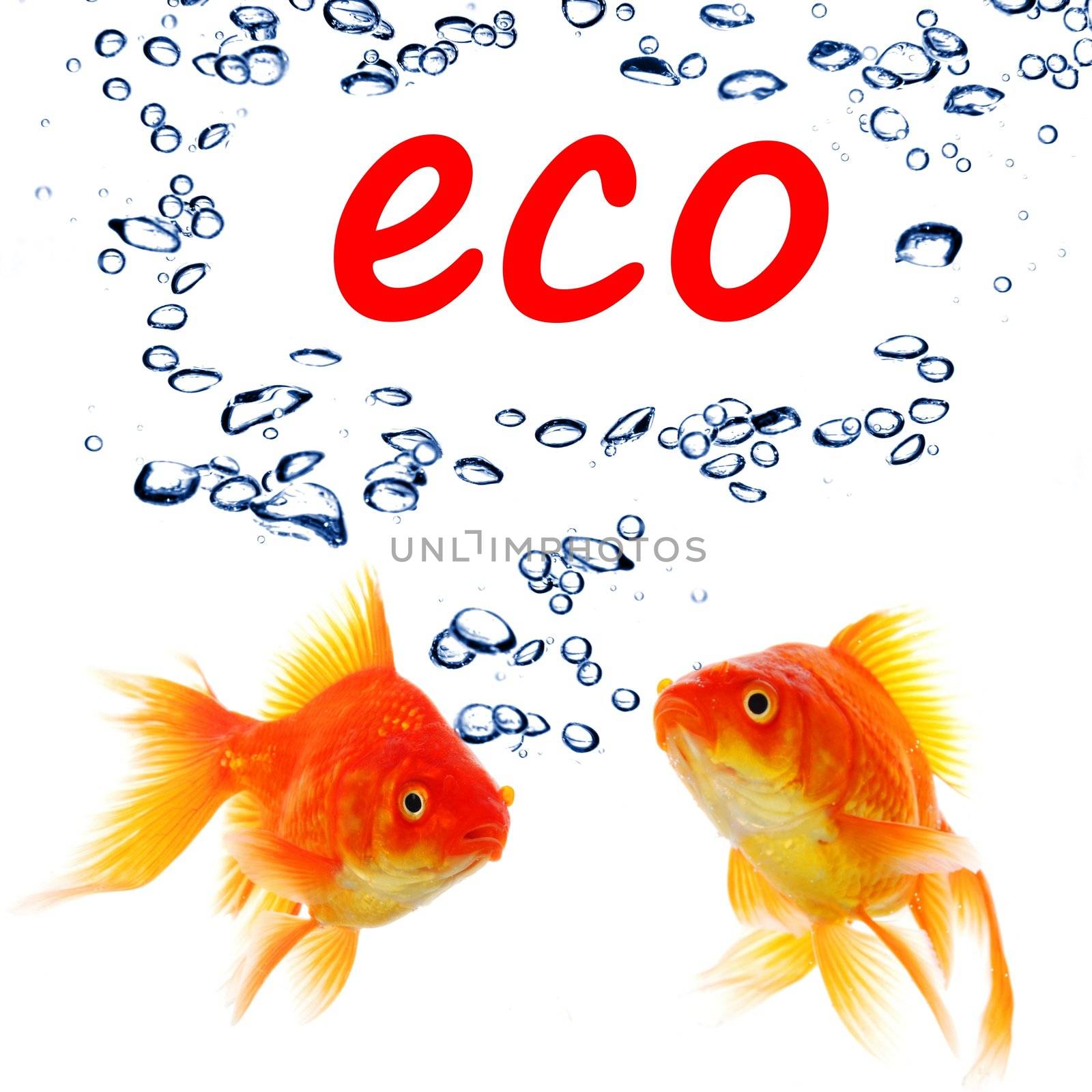 eco ecology nature or environment concept with goldfish and water bubble