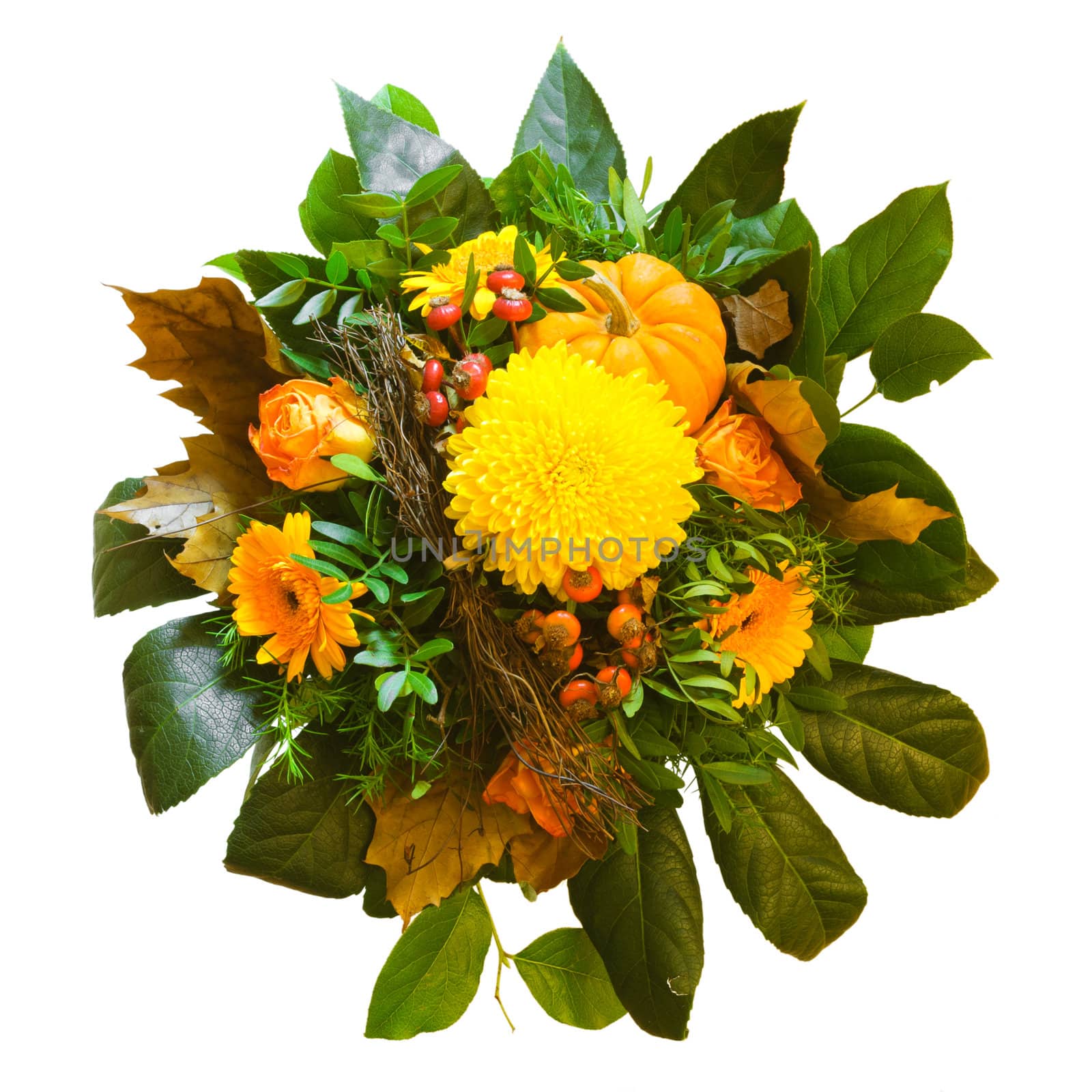 Isolated beautiful and colorful autumn bouquet