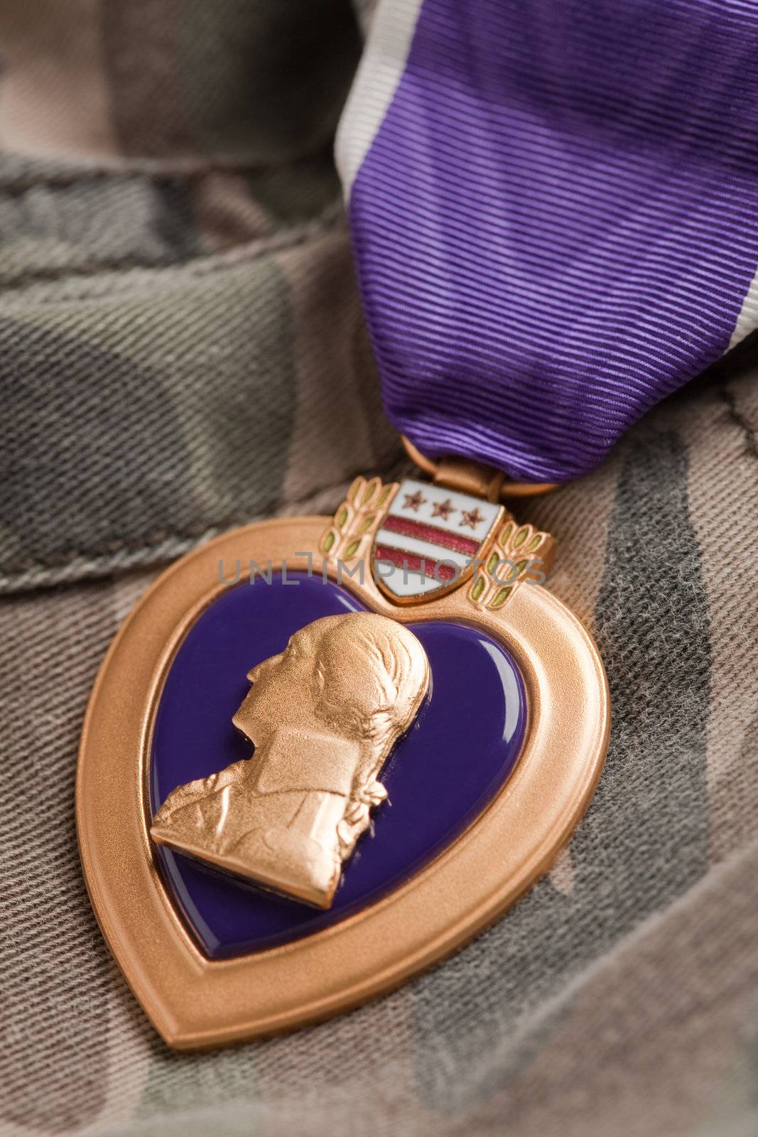 Purple Heart War Medal on Camouflage Material by Feverpitched