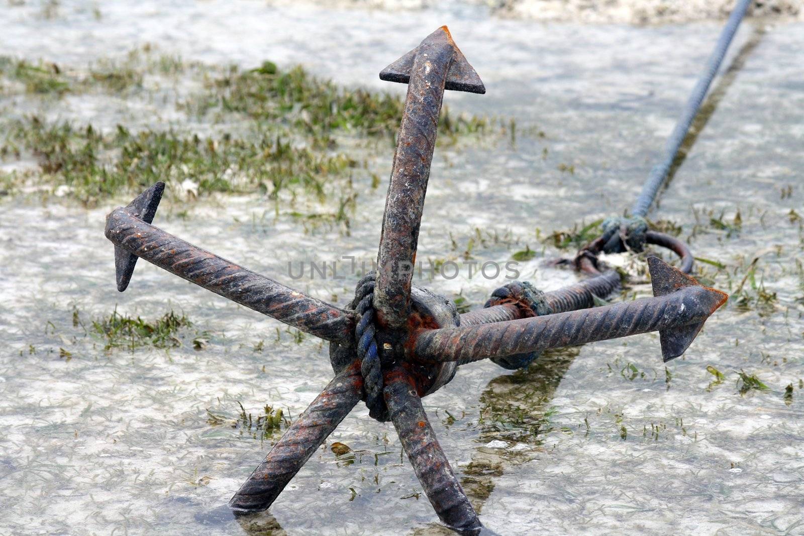 Zanzibar, Nungwi: anchor by landon