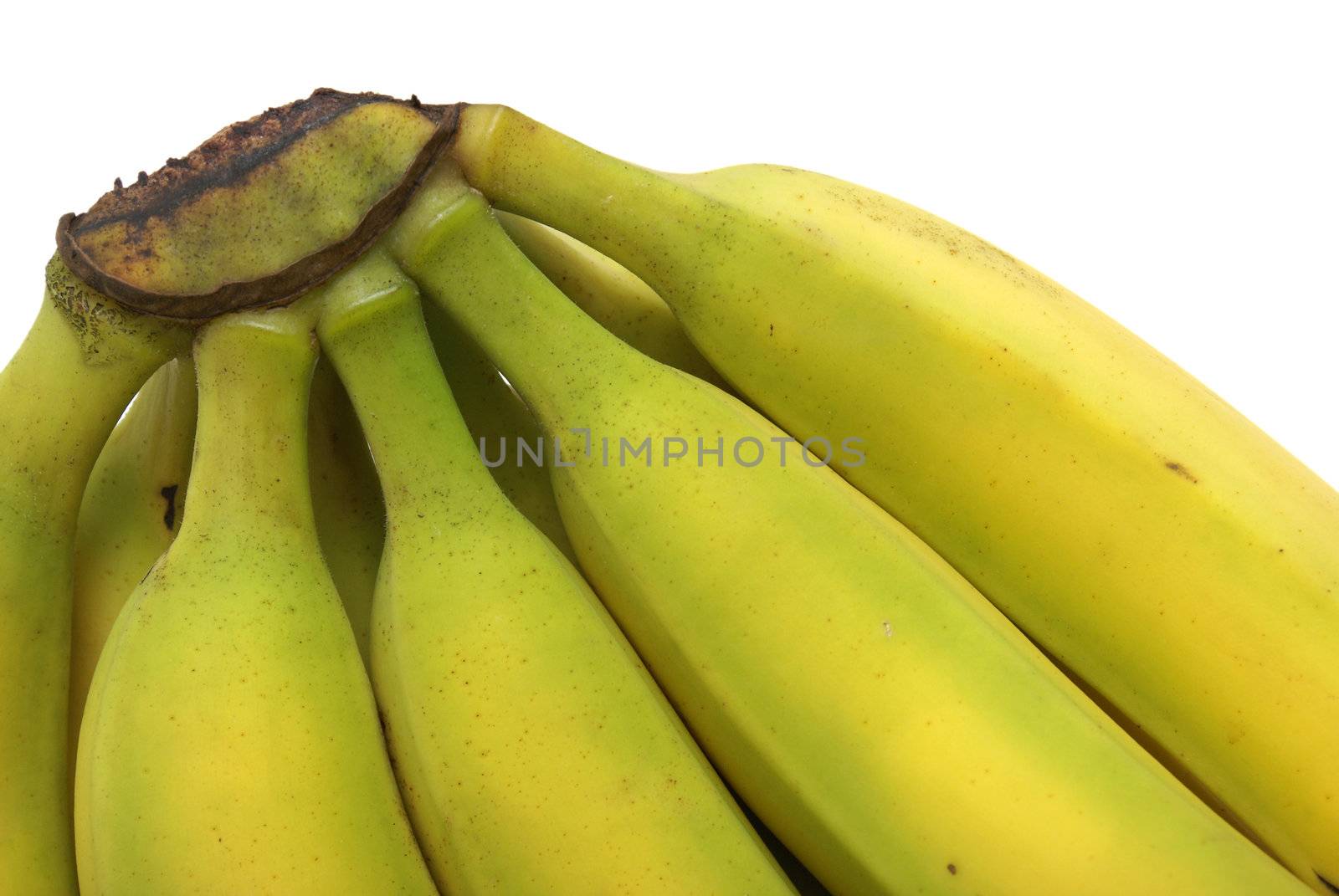 A macro shot of the upper part of a cluster of bananas.