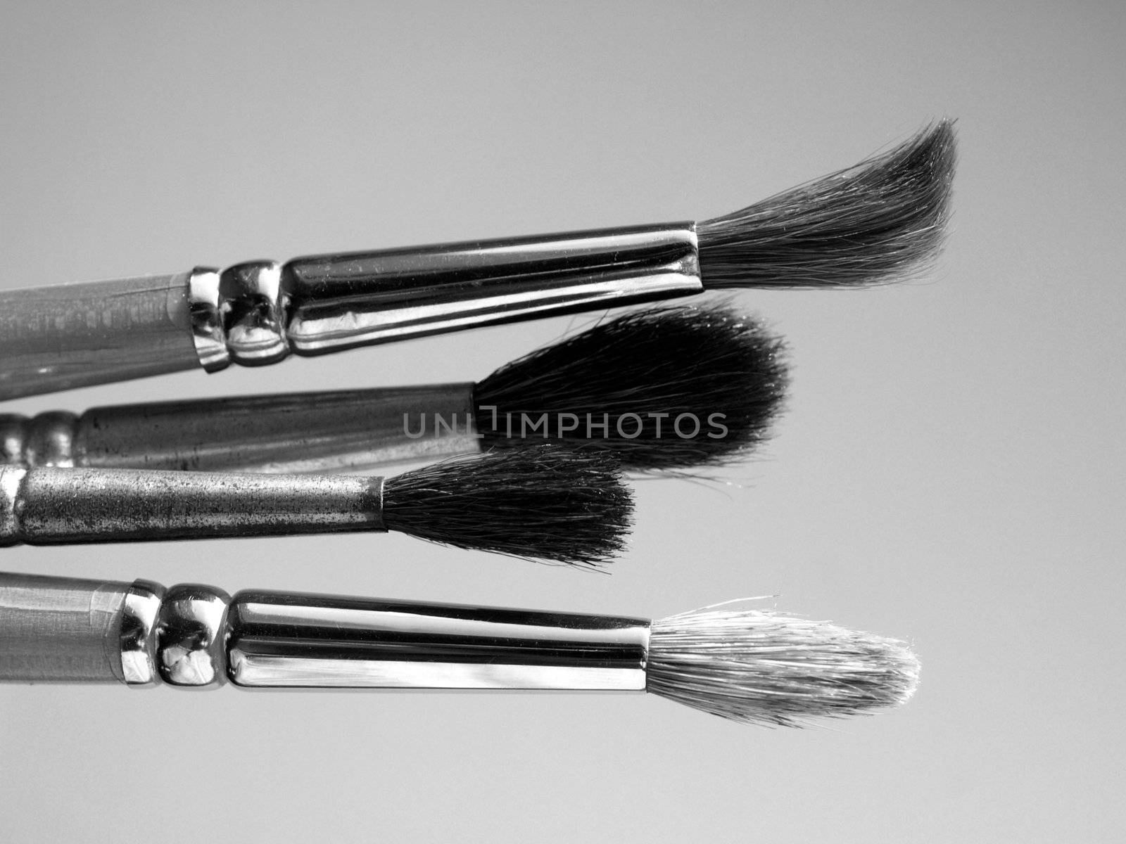 Paintbrushes tools for oil or tempera or watercolor painting