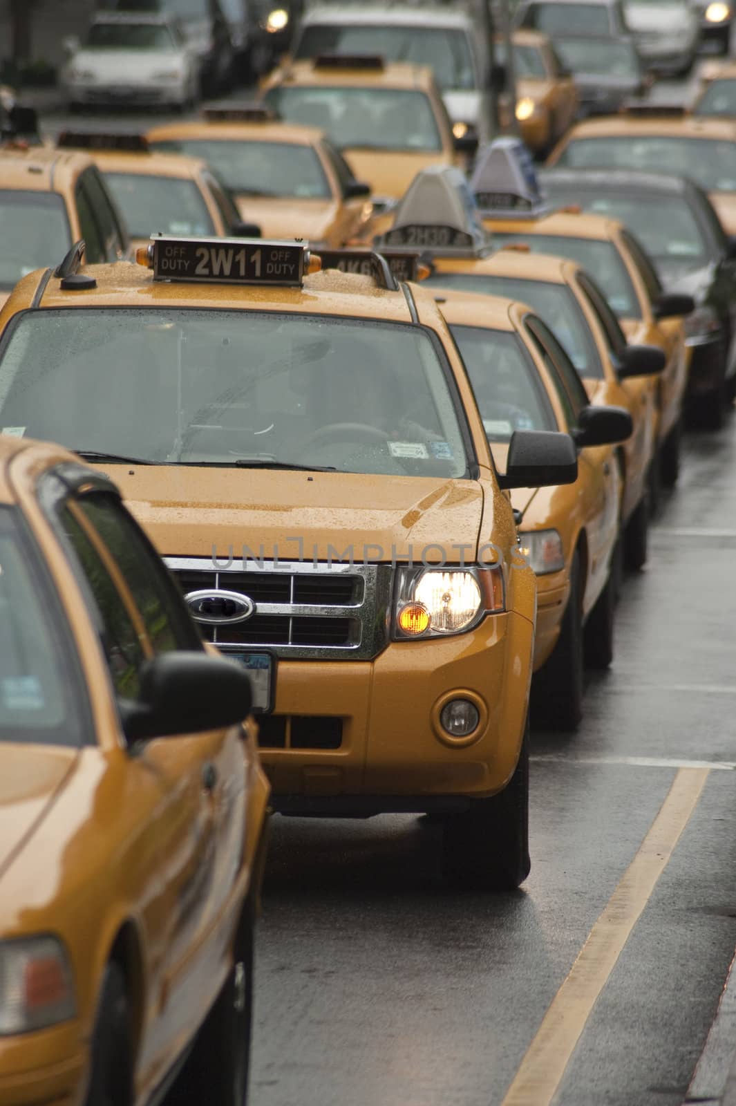 line of yellow taxi cars, NYC by rongreer