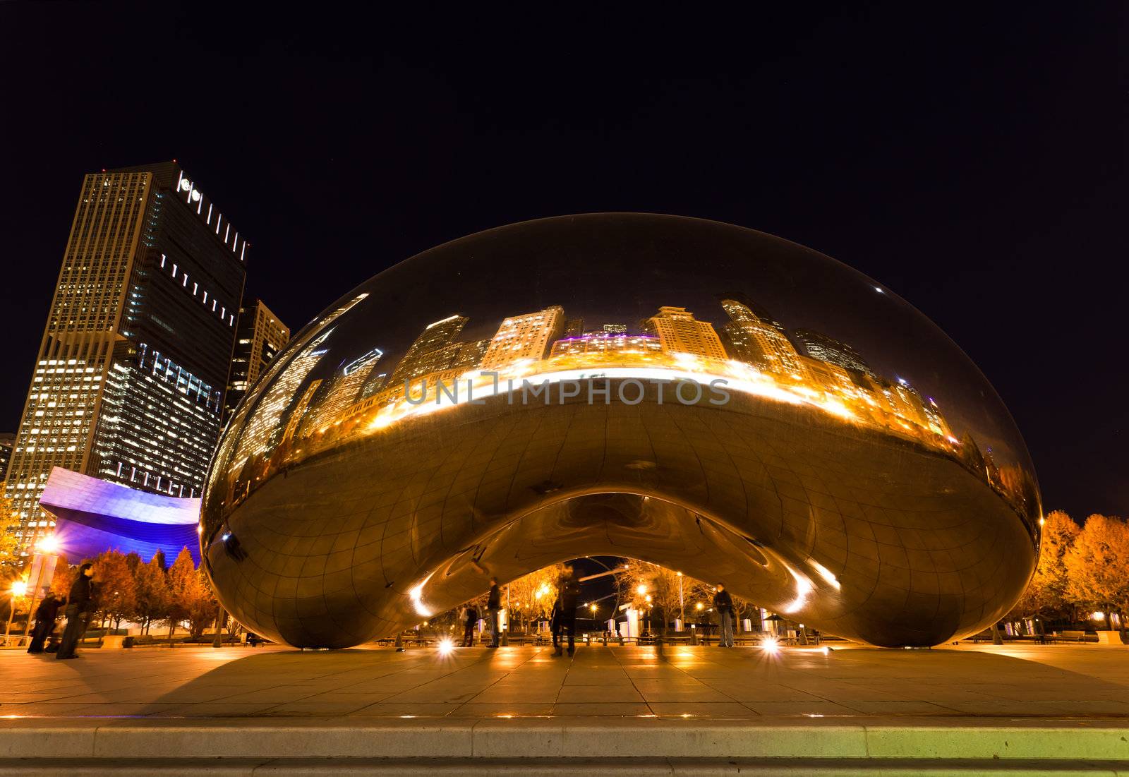 The Millennium Park in downtown Chicago at night