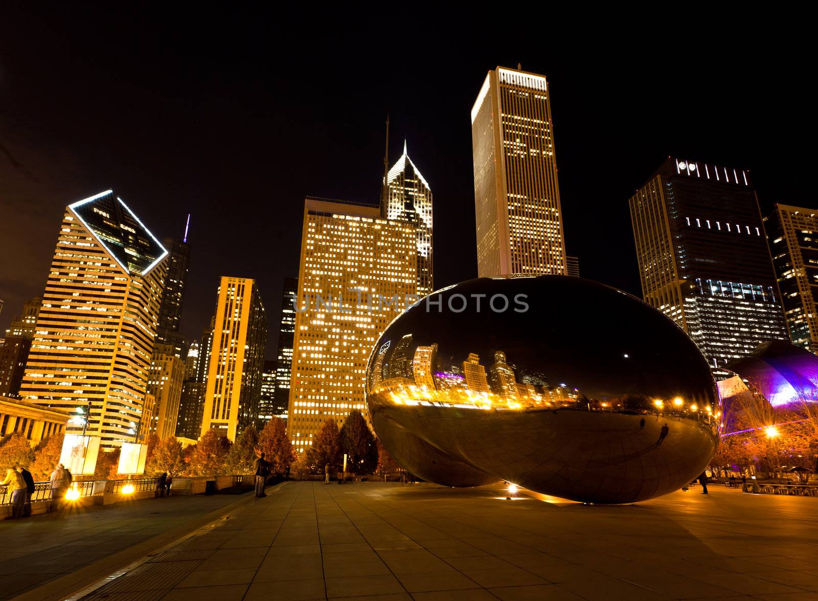 The Millennium Park in downtown Chicago by gary718