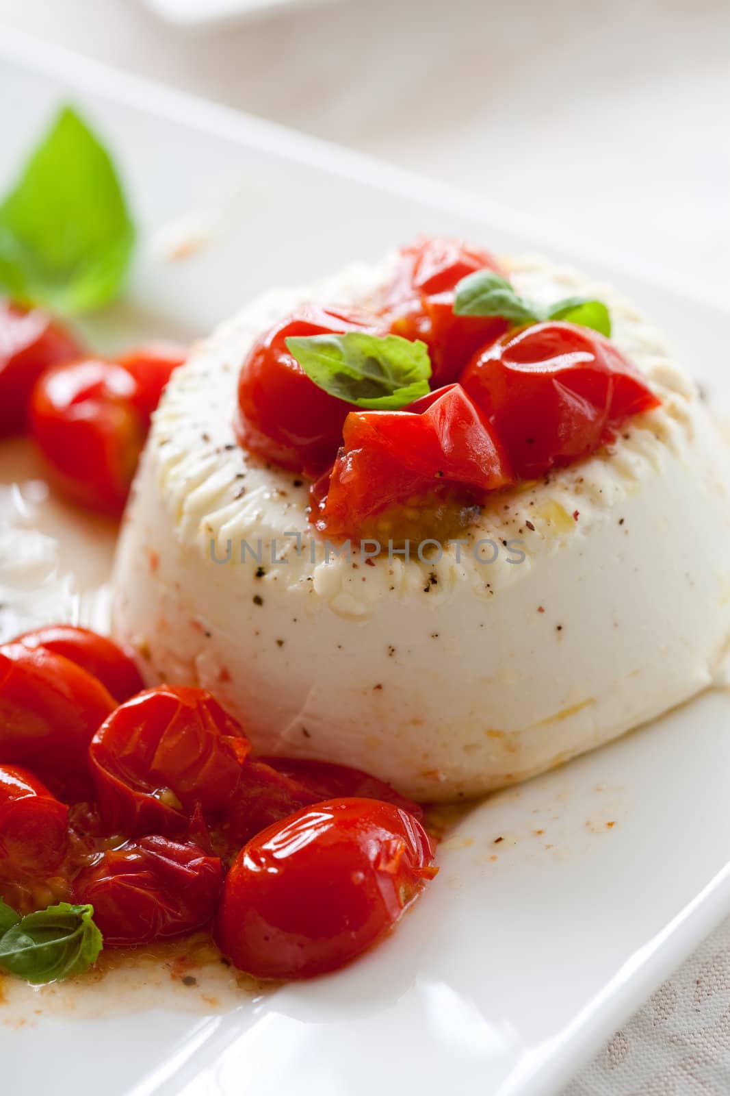 Delicious roasted ricotta with fresh cherry tomatoes and basil