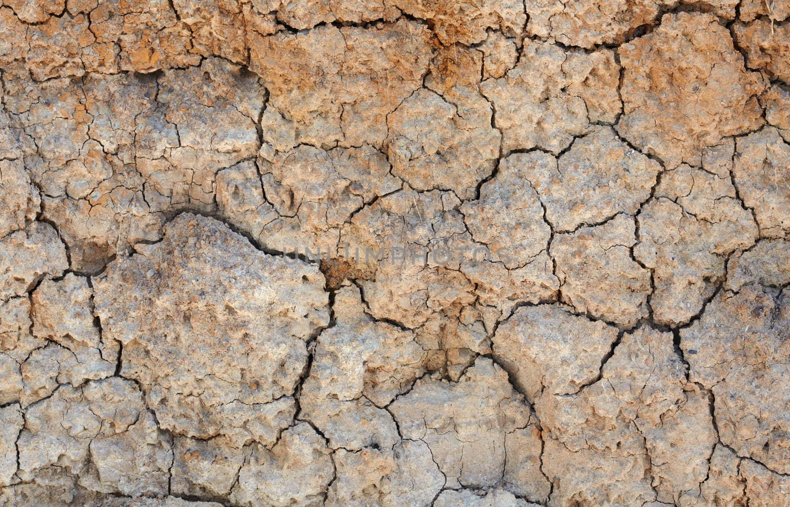 The clay cracked brown earth - a natural background