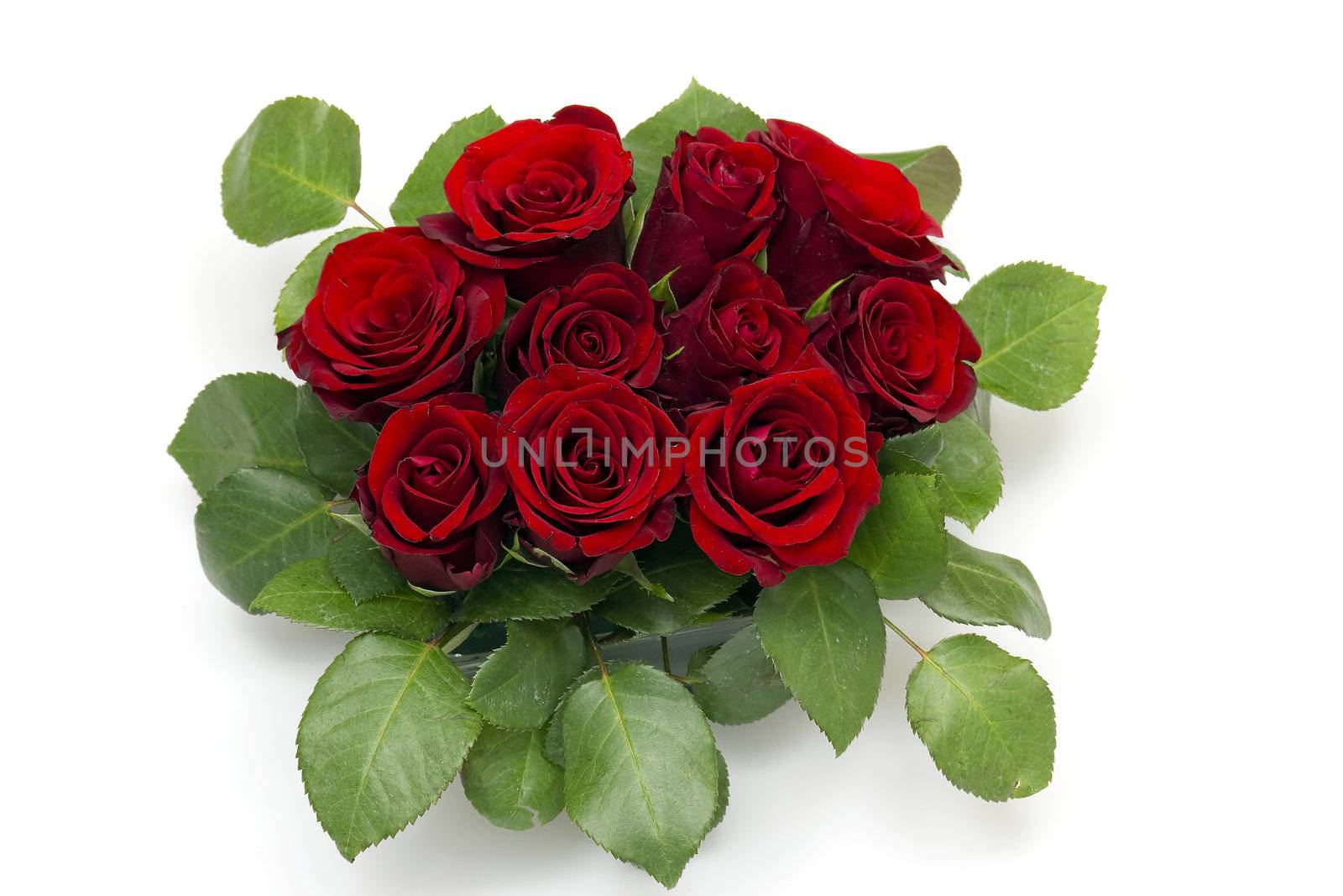 red roses