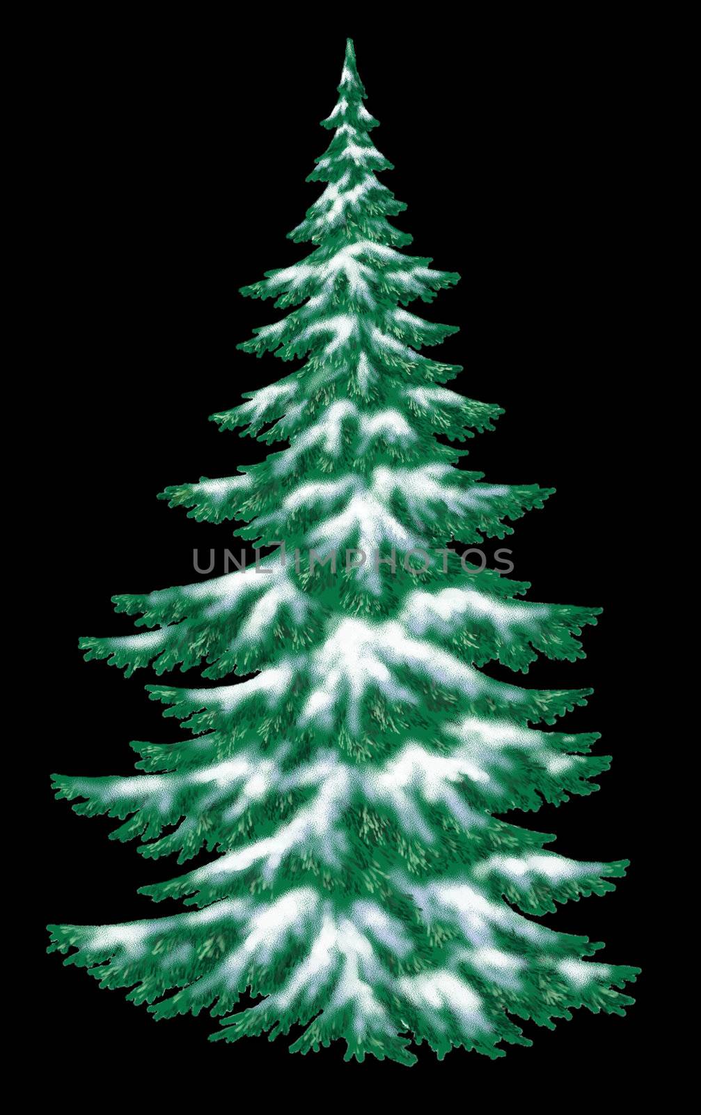Christmas fur-tree covered with snow, isolated. Winter picture