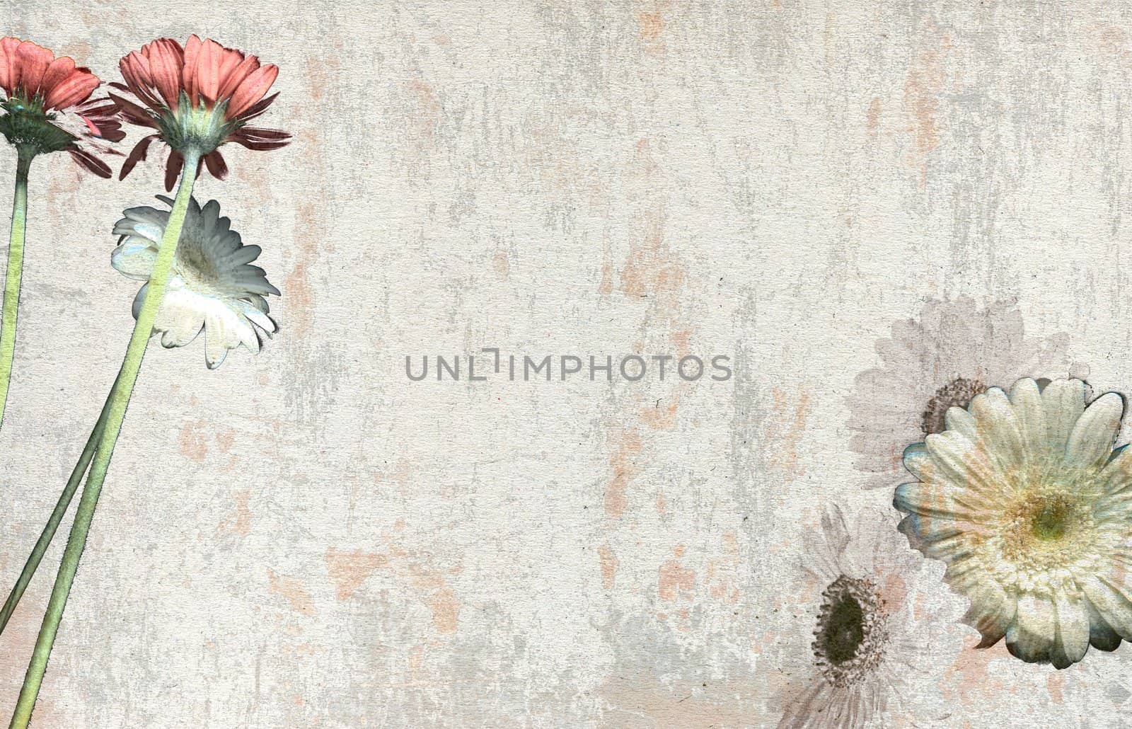 old floral paper scratched background