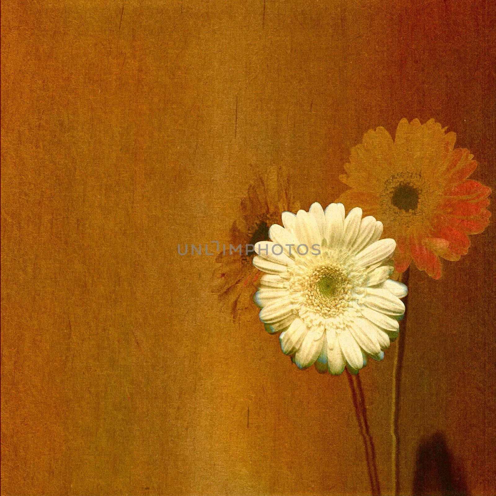 old floral paper scratched background