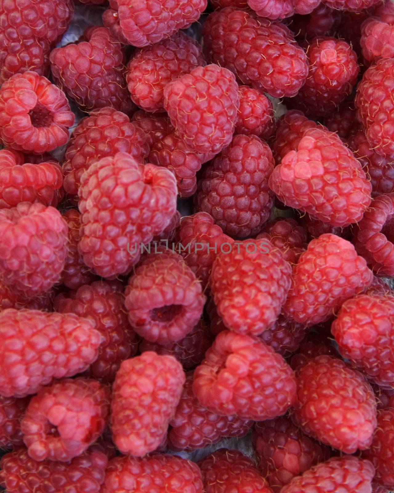 closeup detail of fresh raspberries freshly picked