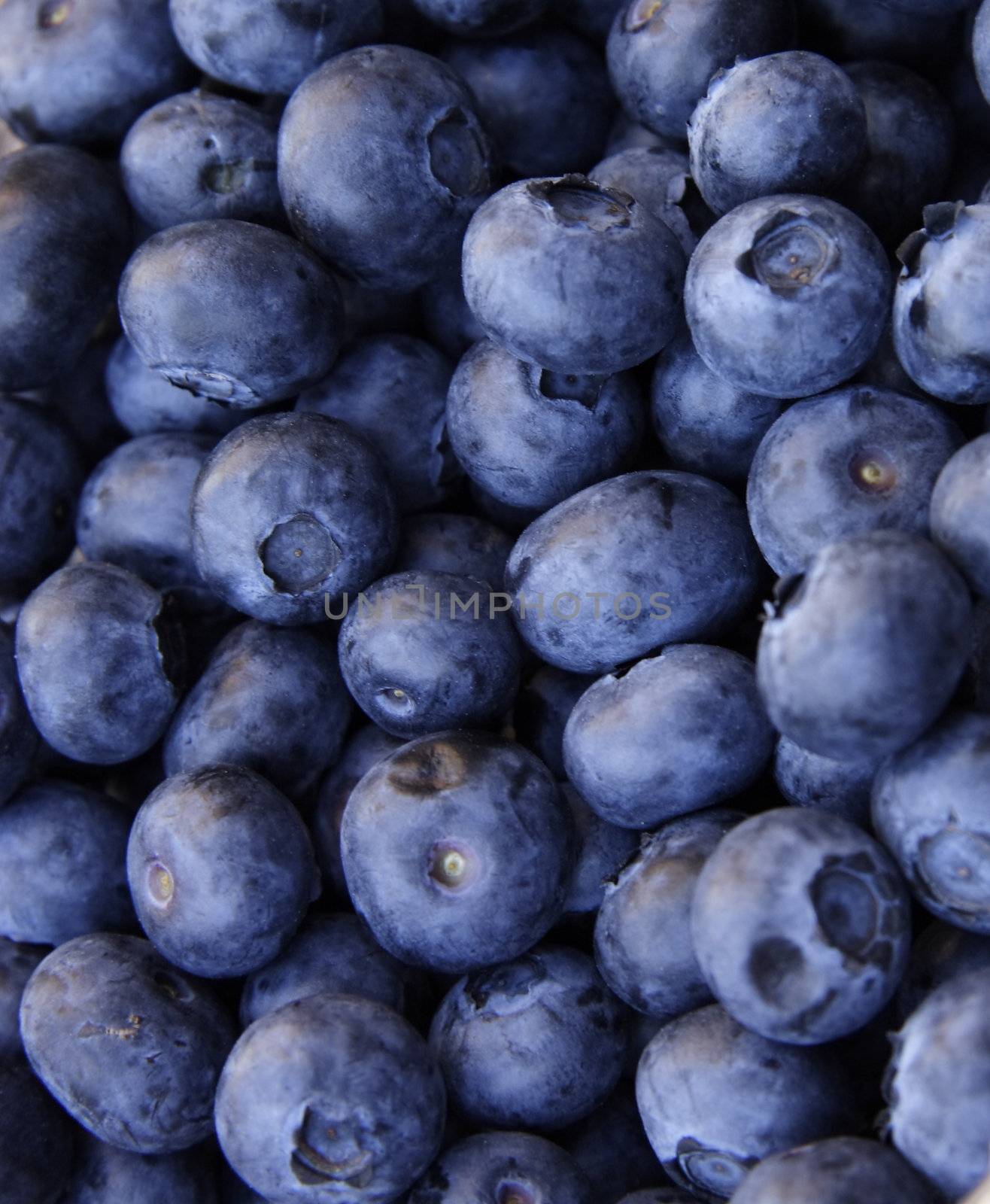blue berries by leafy