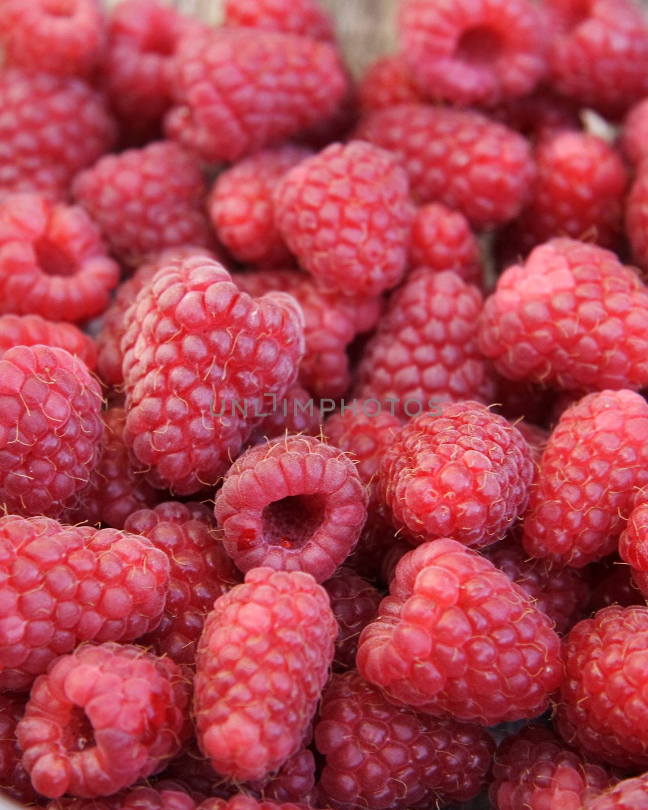 closeup detail of fresh raspberries freshly picked