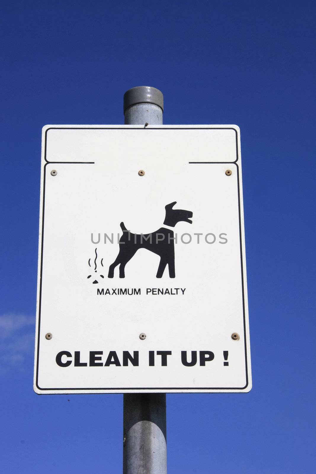 dog mess sign by leafy