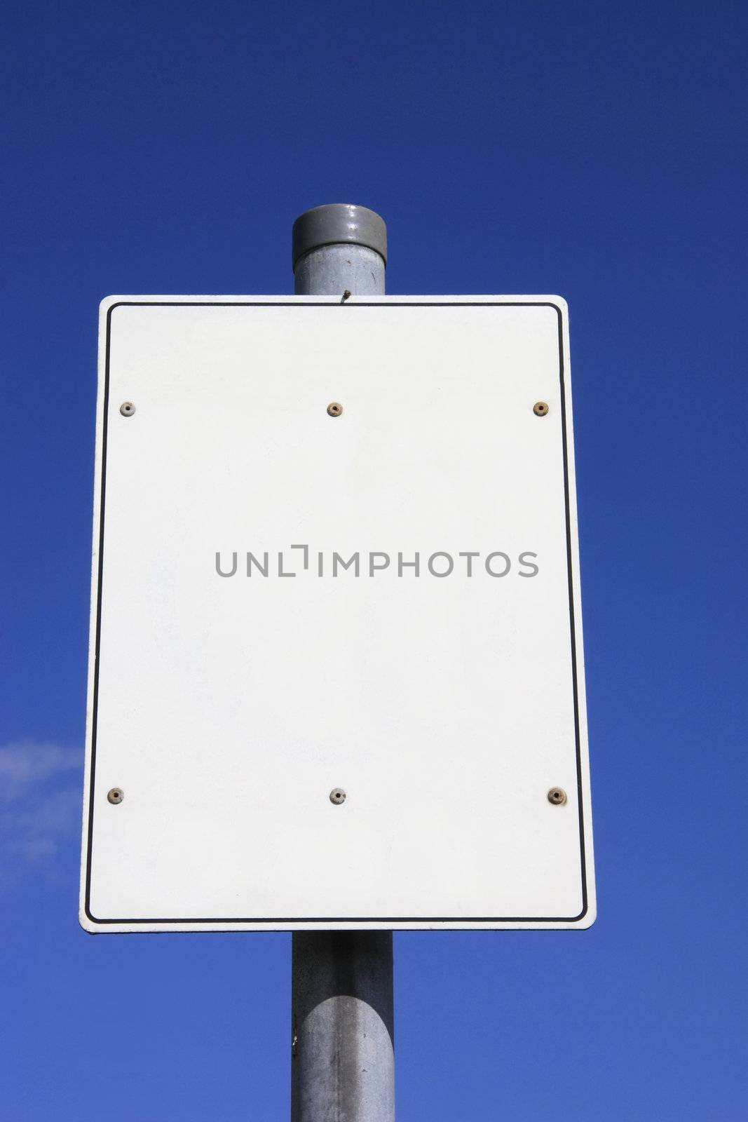 white signpost by leafy