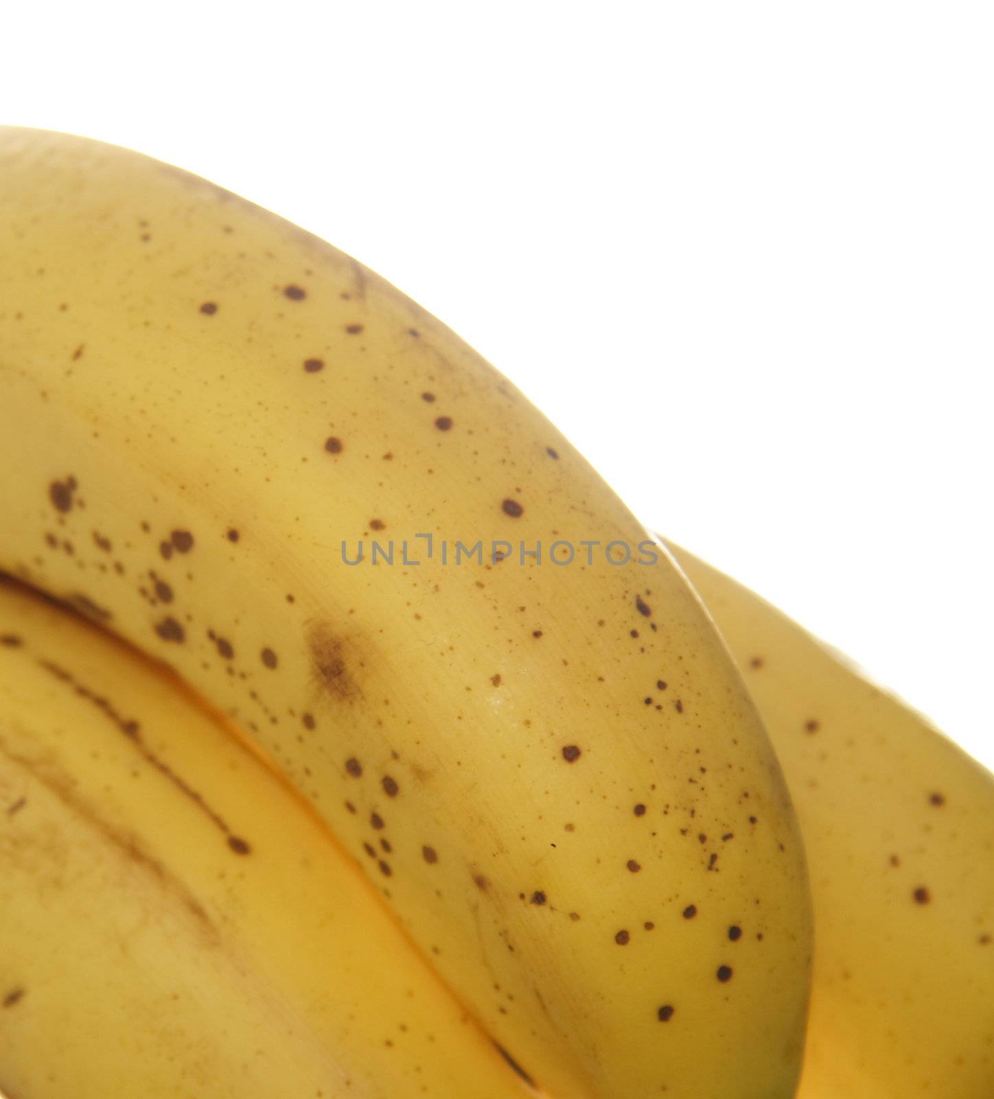closeup shot of bananas with a white background