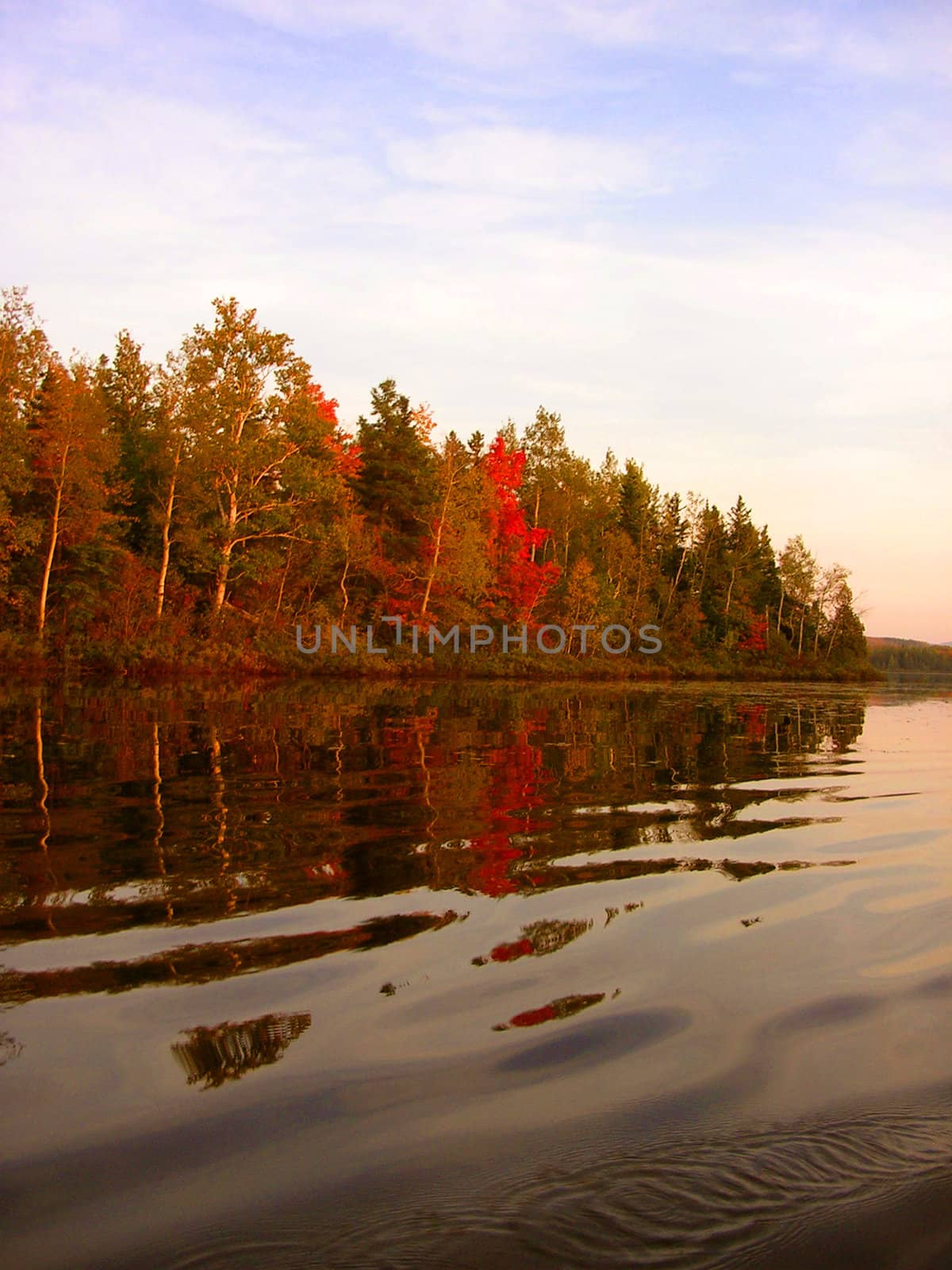 Rowing on a beautiful lake at sunset