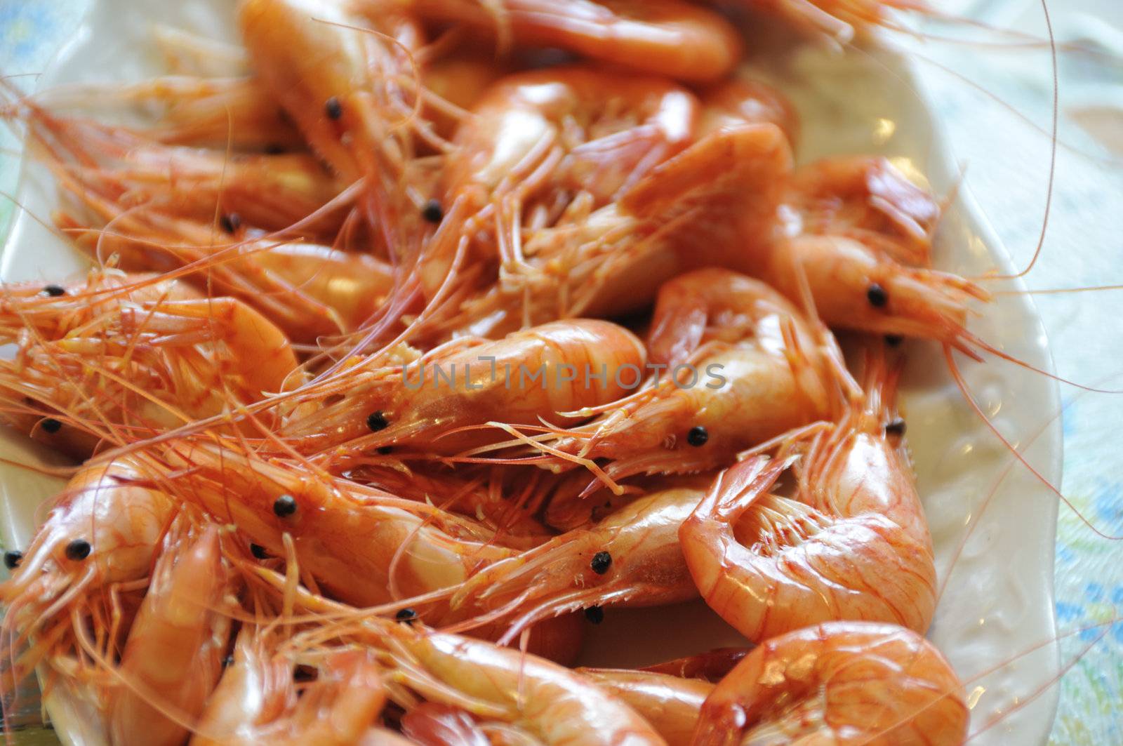 Shot of cooked shrimps served on dish