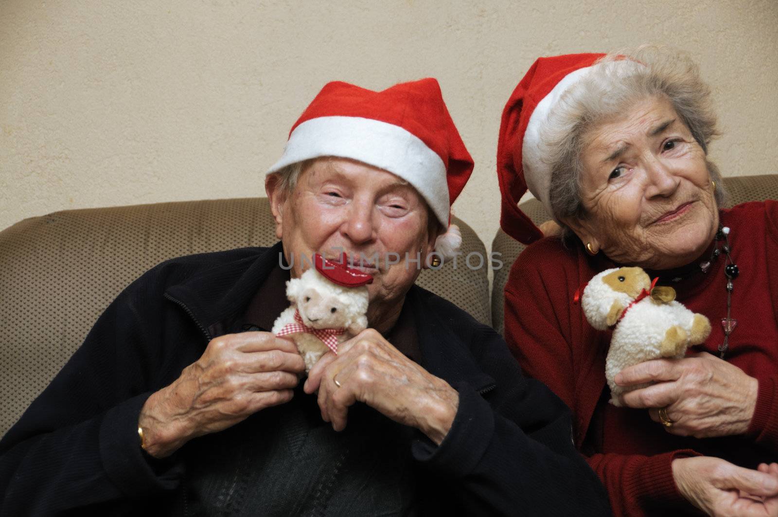 Senior couple celebrating christmas by fahrner